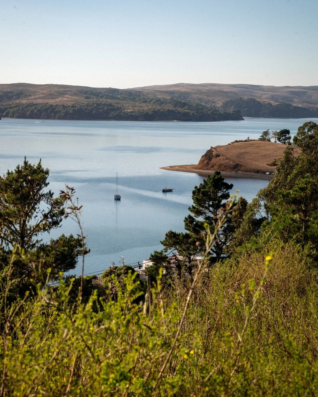 Out past the trees, the water waits. 
Still as a thought, deep as a breath, catching the sky in quiet reflection. 
A place where the day softens and time stretches wide. 
 
📸: @luke_fwc