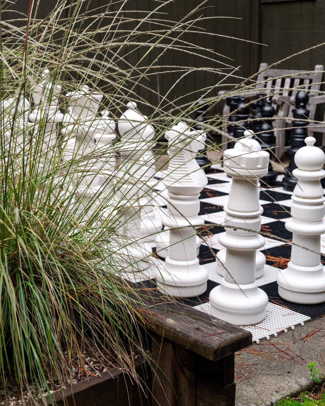 King&rsquo;s move, queen&rsquo;s grace, and a coastal breeze between every play. 
 
Care for a match among the pines? 
 
📸: @luke_fwc