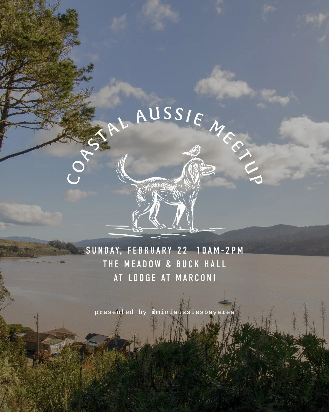 We&rsquo;re looking forward to welcoming the Mini Aussie Bay Area community to Lodge at Marconi this Sunday.

Hosted by @miniaussiesbayarea, this coastal meetup brings pups and their people together for a morning of fresh air, connection, and scenic 