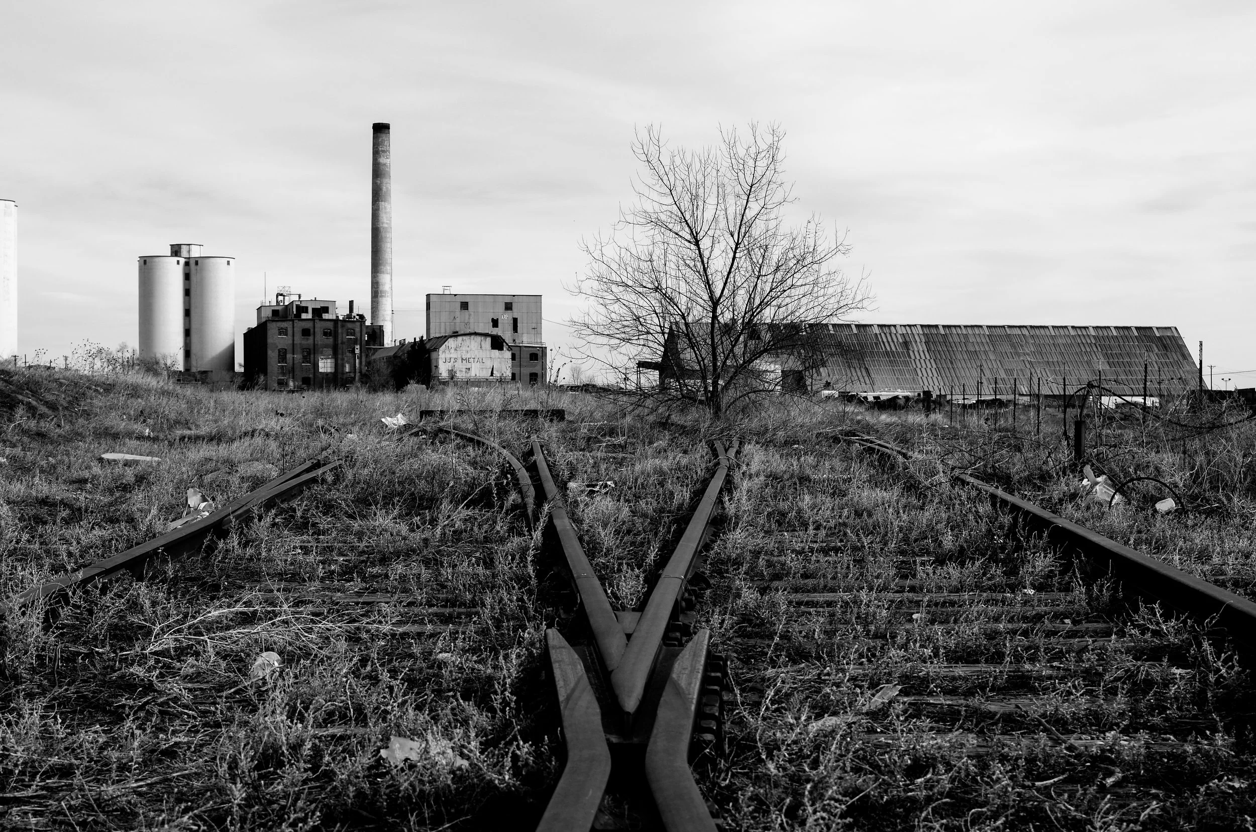 DSC_0190.jpg