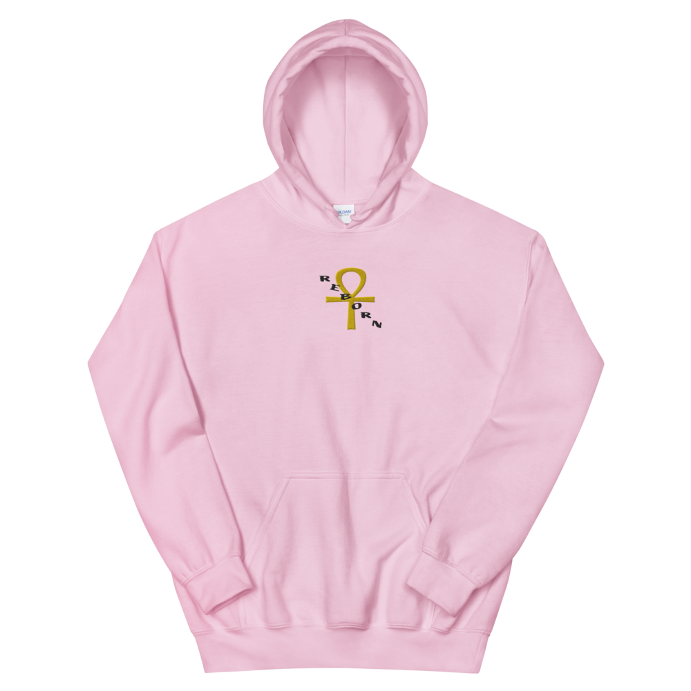 unisex-heavy-blend-hoodie-light-pink-front-61942996d61af.png