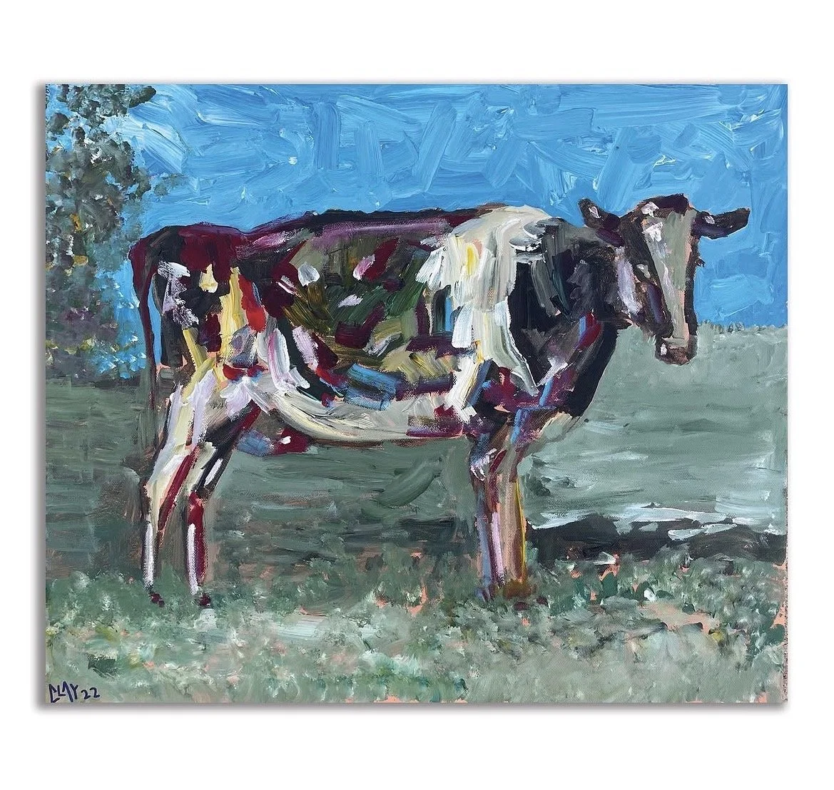 a cow, 10/22 a gift