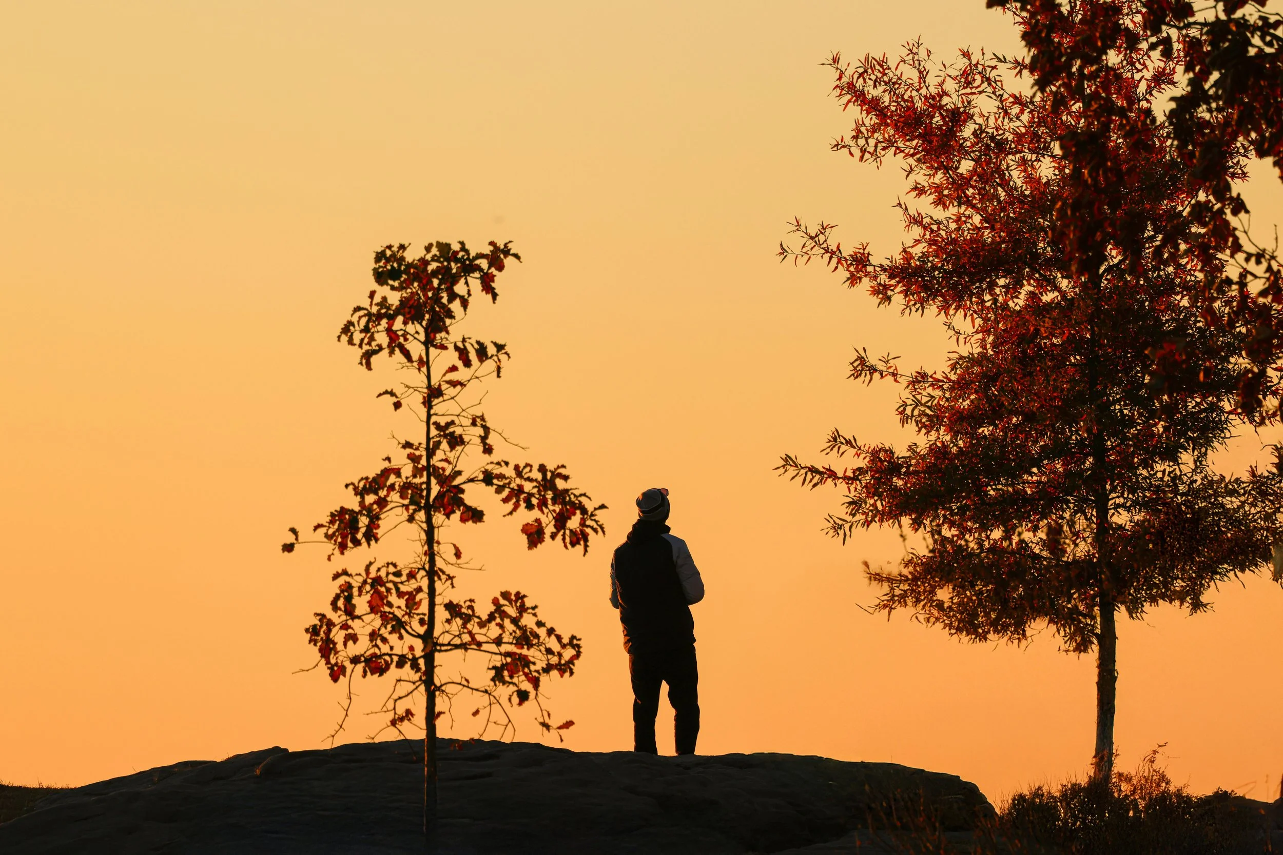 How EMDR Helps You Process Trauma