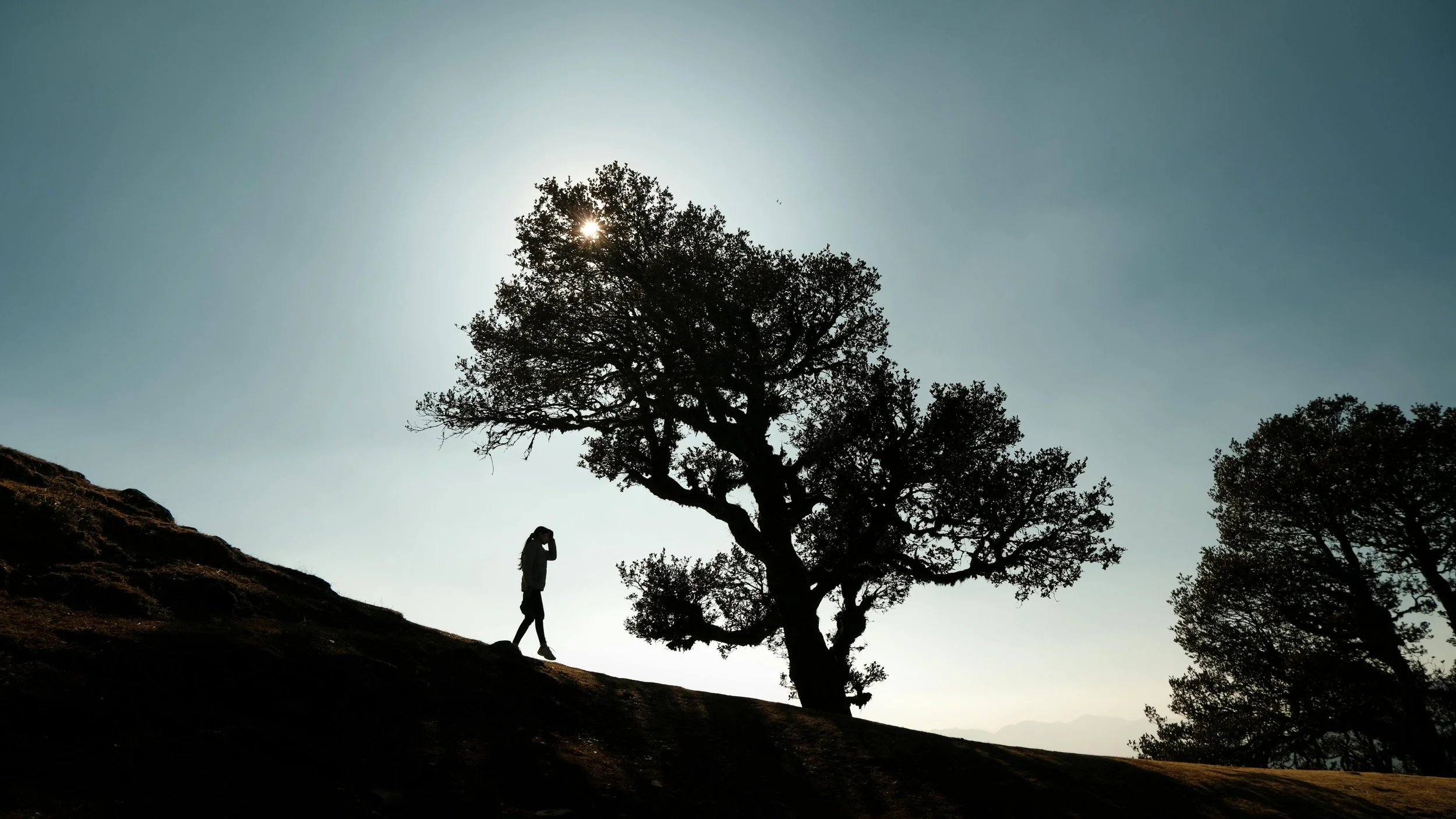 Complex Trauma vs PTSD