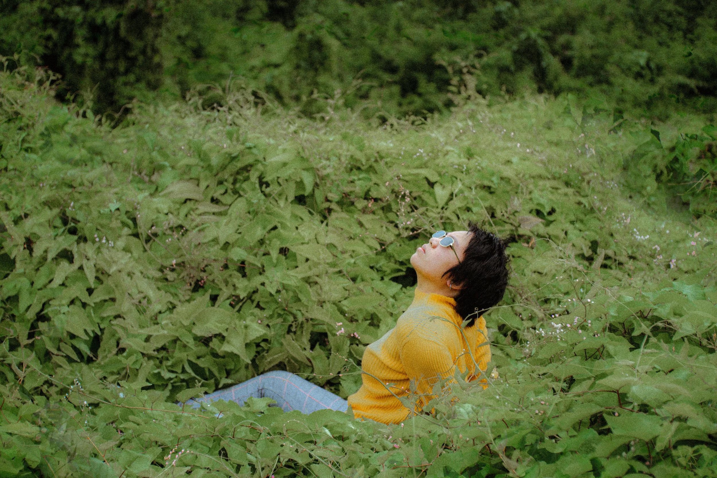 What Happens During an EMDR Session