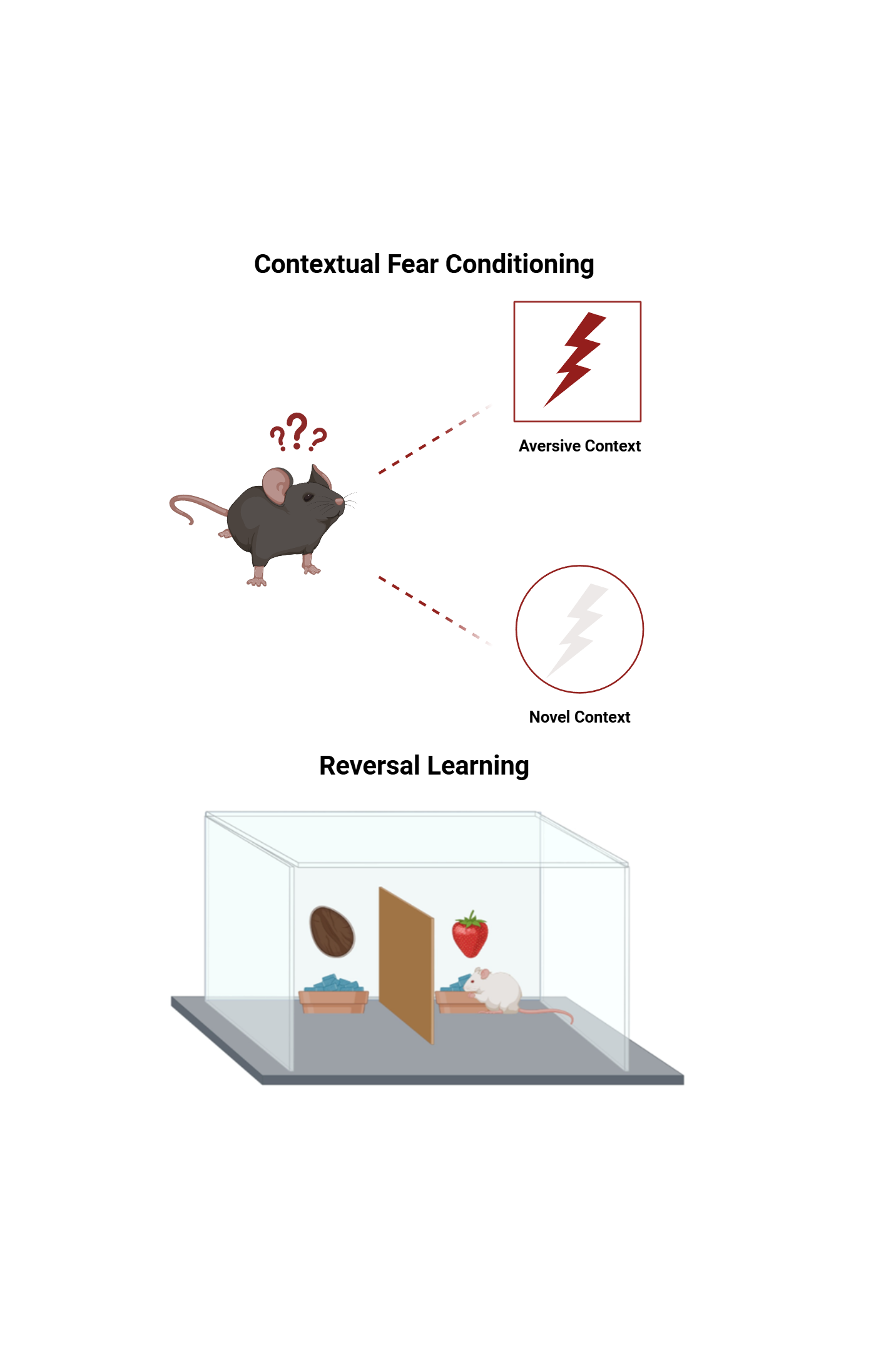 fear discrimination (11)-1.png