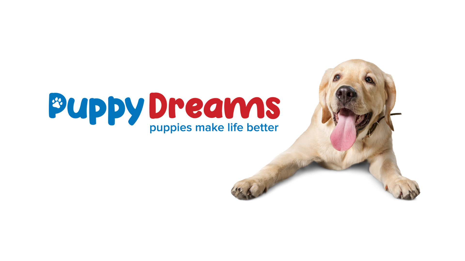 What Are Puppy Dreams