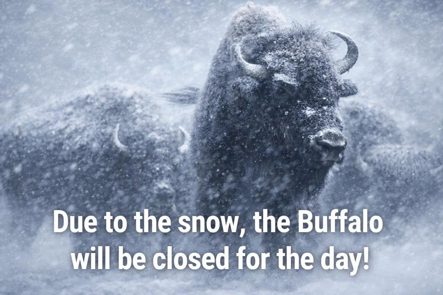 The Buff is closed for the rest of the day🙁😢