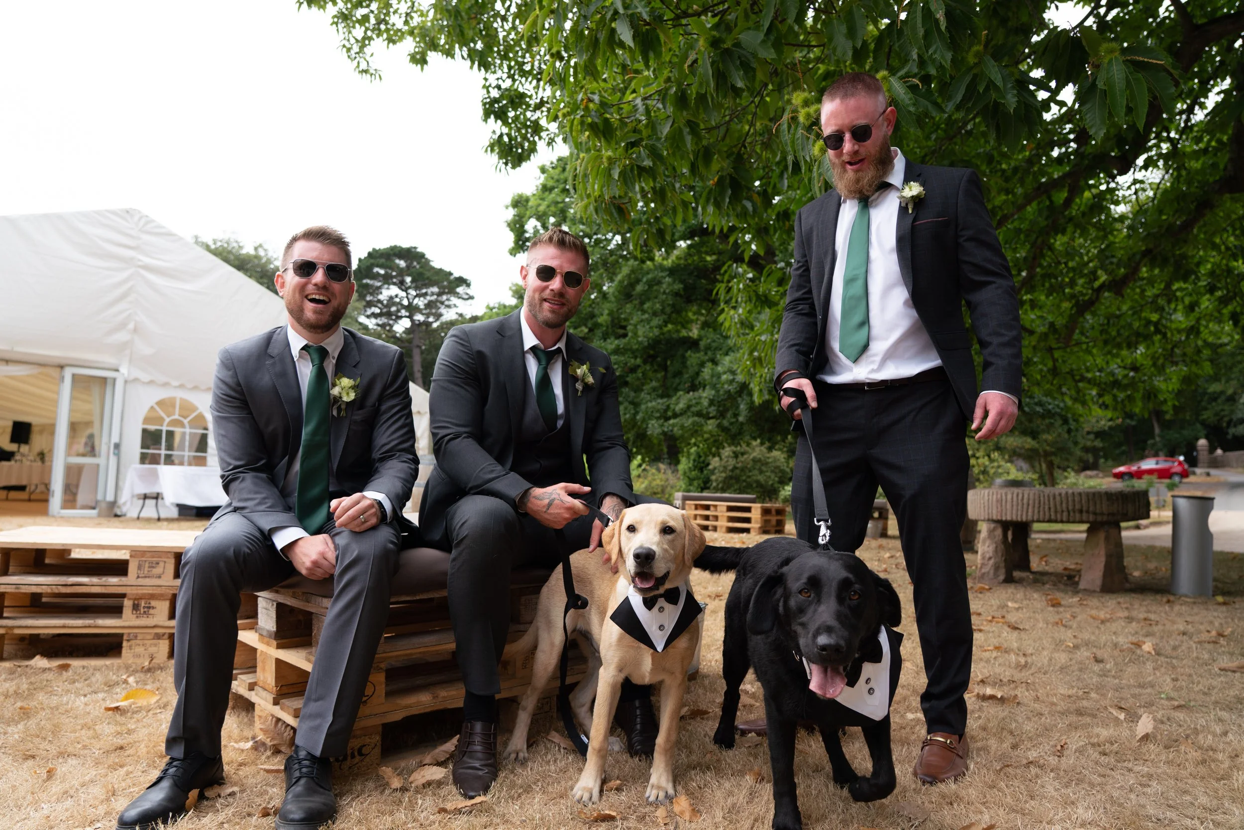 Three men in suits with sunglasses, sitting and standing outdoors near dogs dressed in tuxedo costumes.
