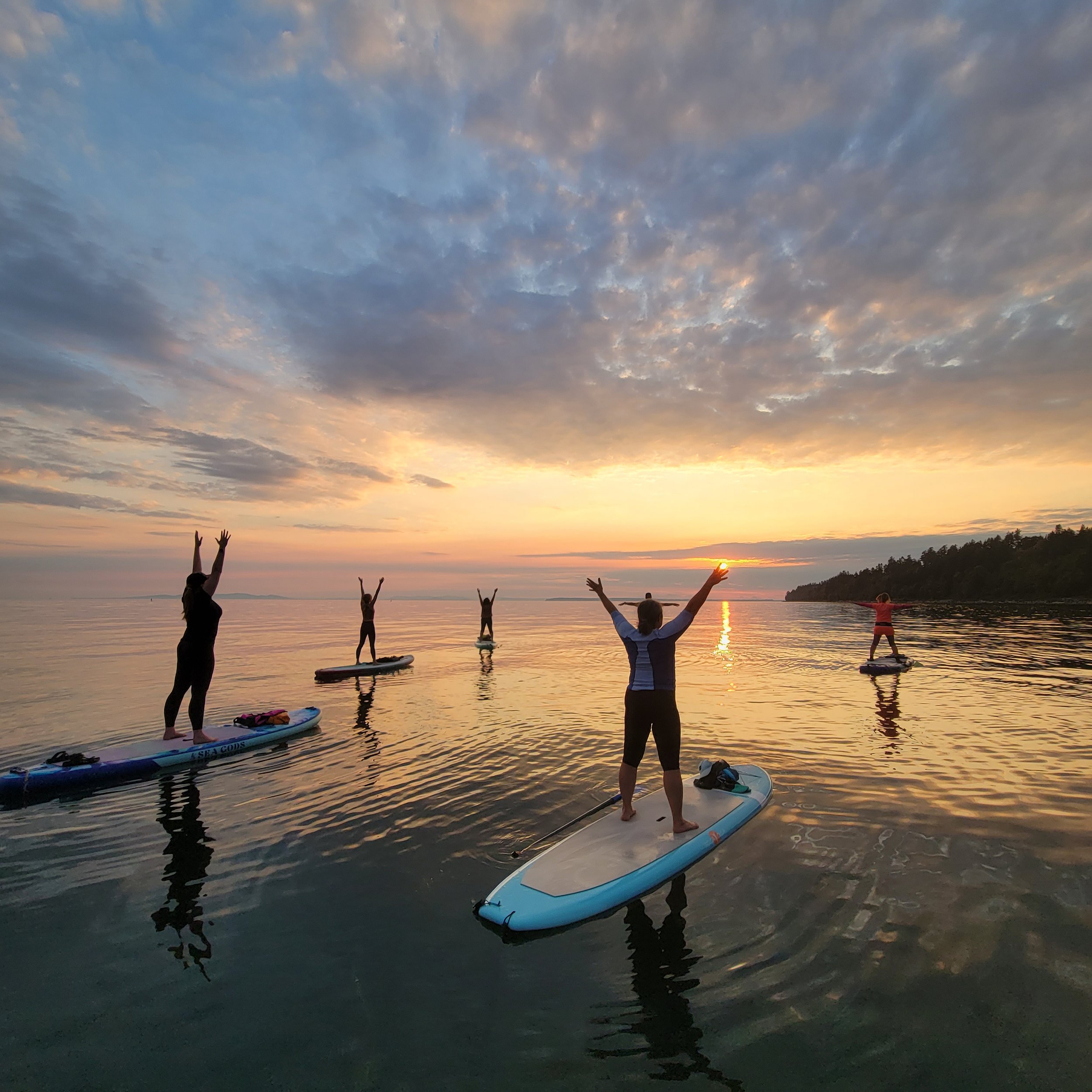 Interested in Learning to Paddle? A Note from Tobey