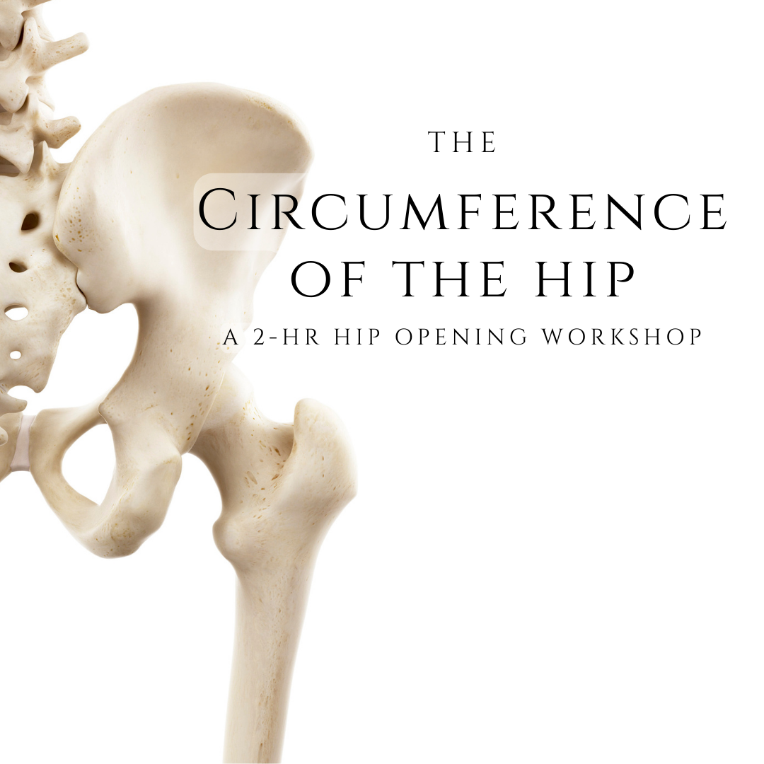 The Circumference of the Hip: A 2 Hour Hip Opening Workhsop
