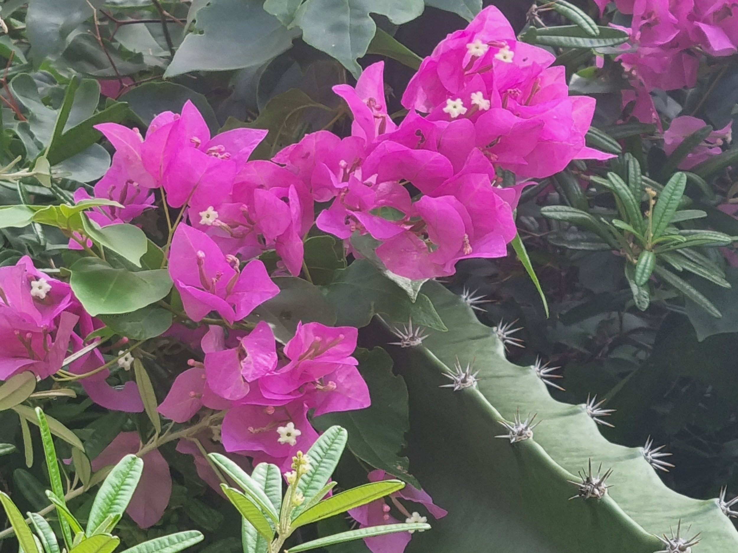 Self reflection as a tool for self love