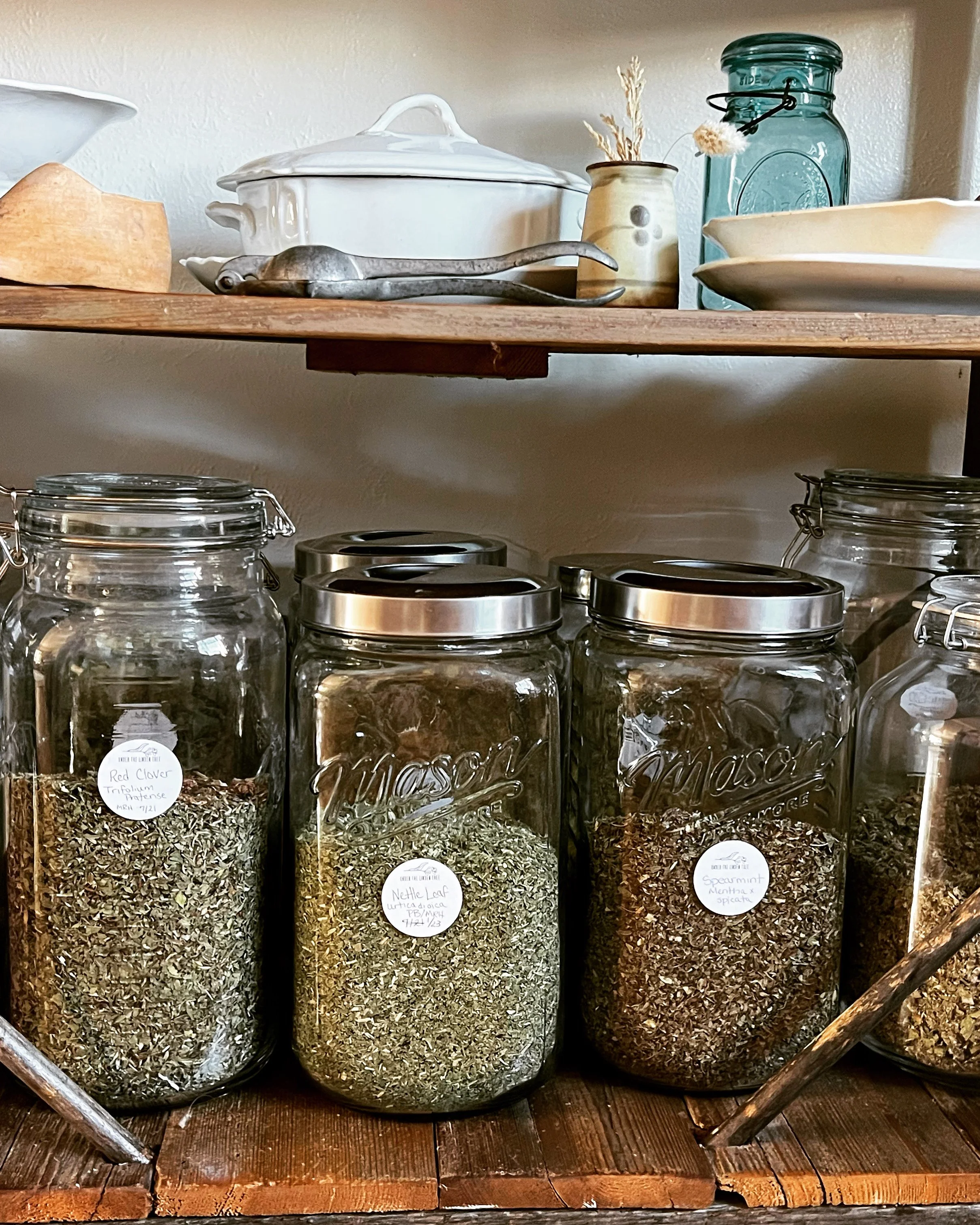 Herb Your Enthusiasm: Crafting Natural Remedies: 3-Part Herbal Workshop