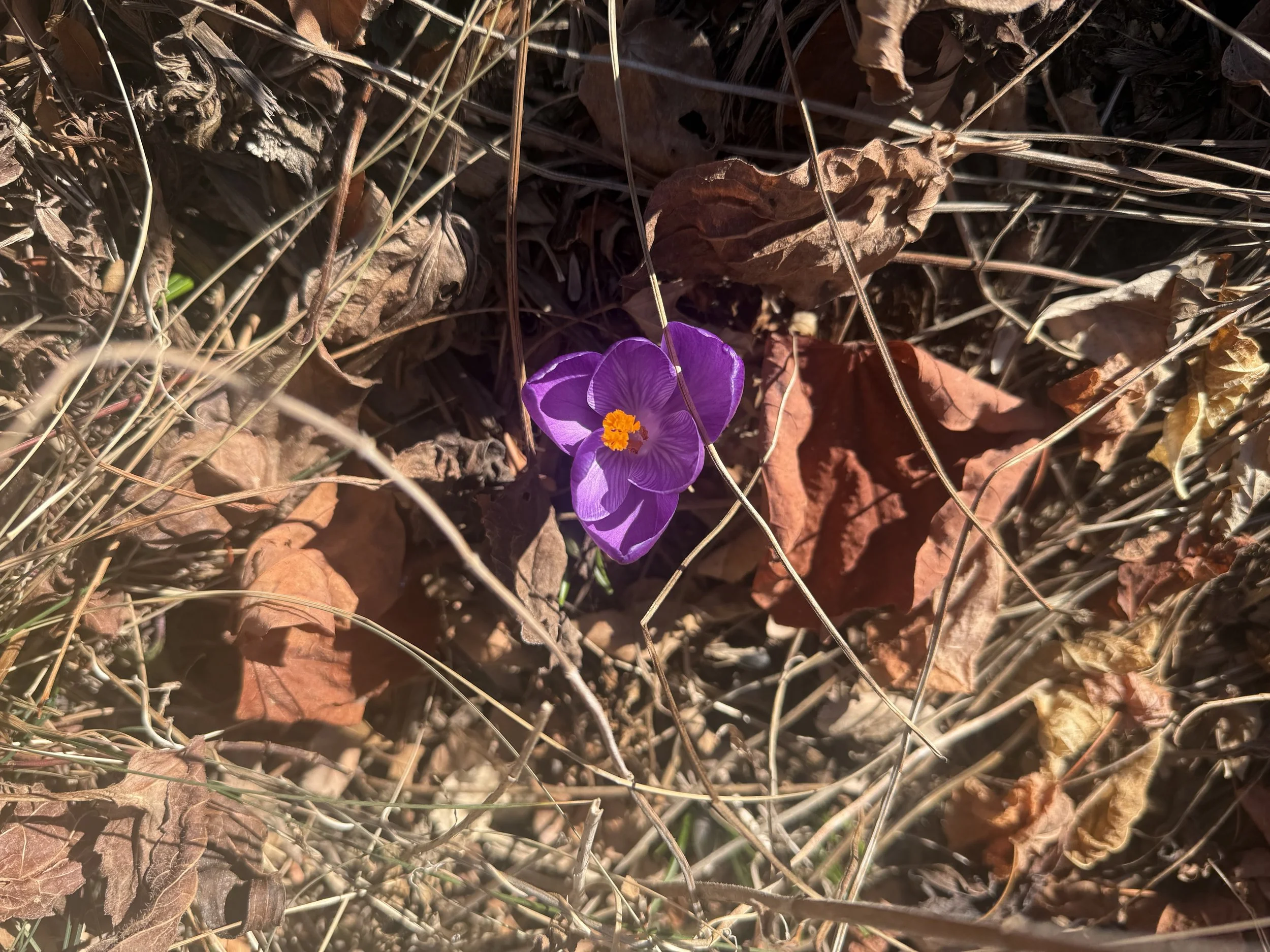 Supporting Women Through Every Season