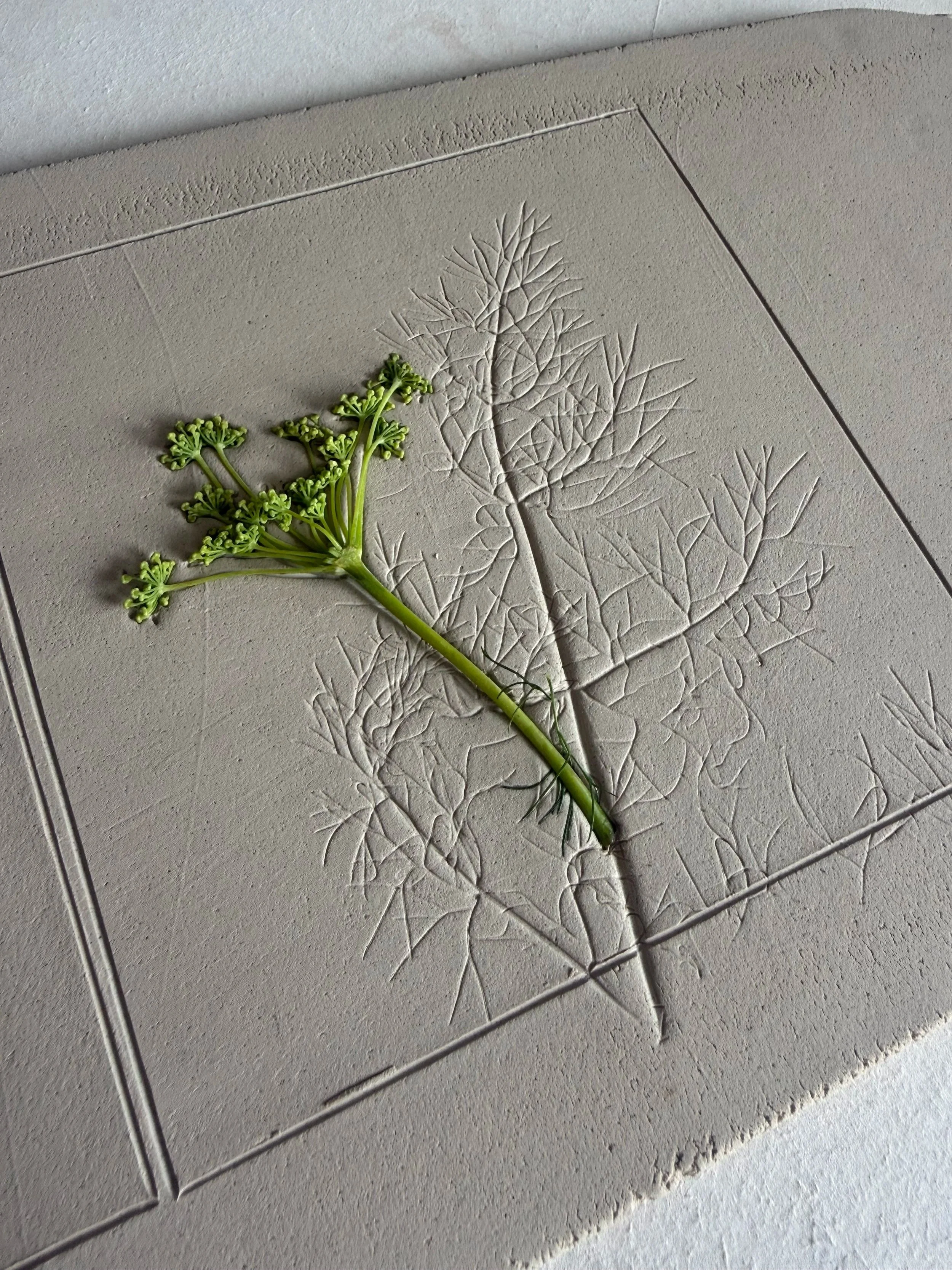 Lessons from the Garden: Gratitude, Lughnasa, and the Wisdom of Plants