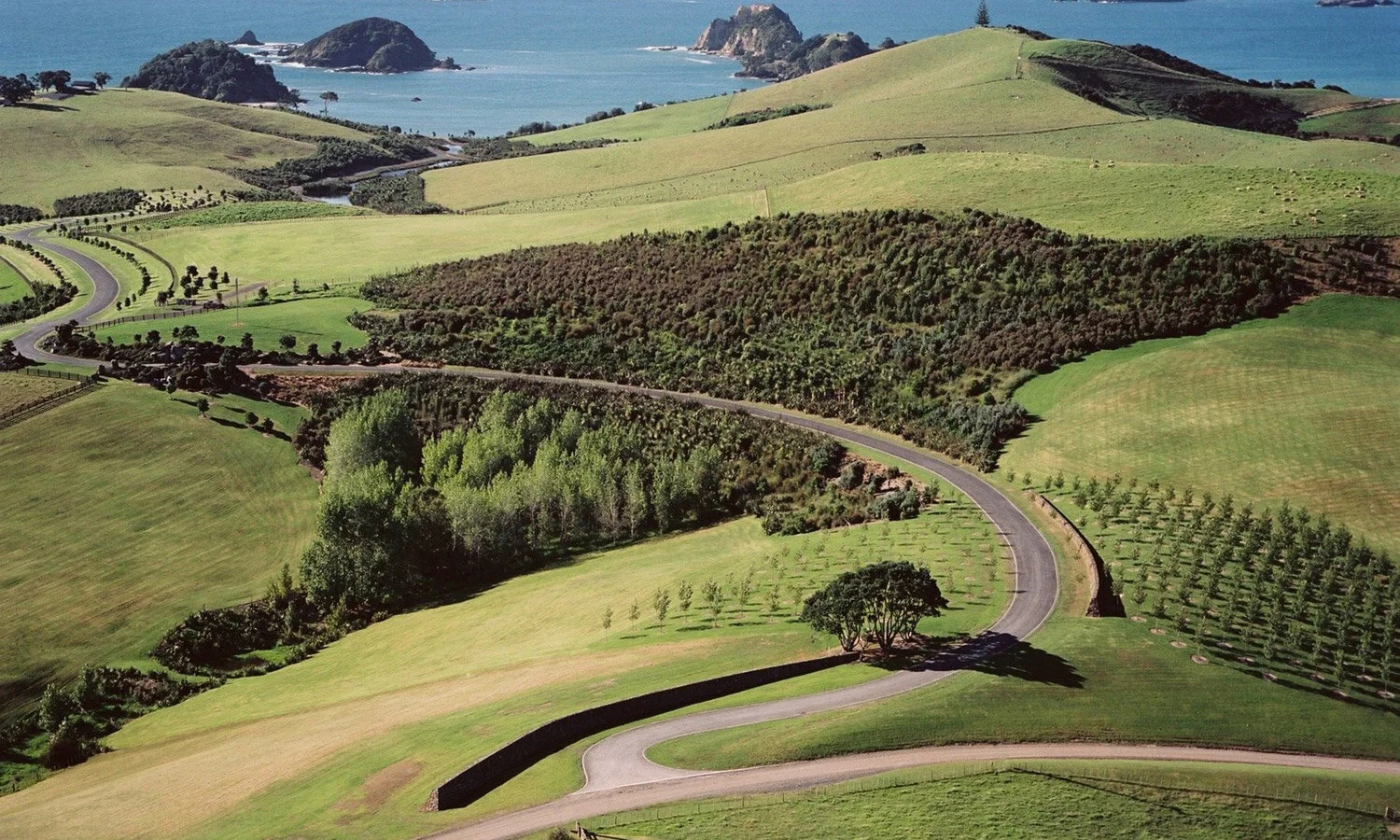 Mountain Landing Meyer Studio Land Architects