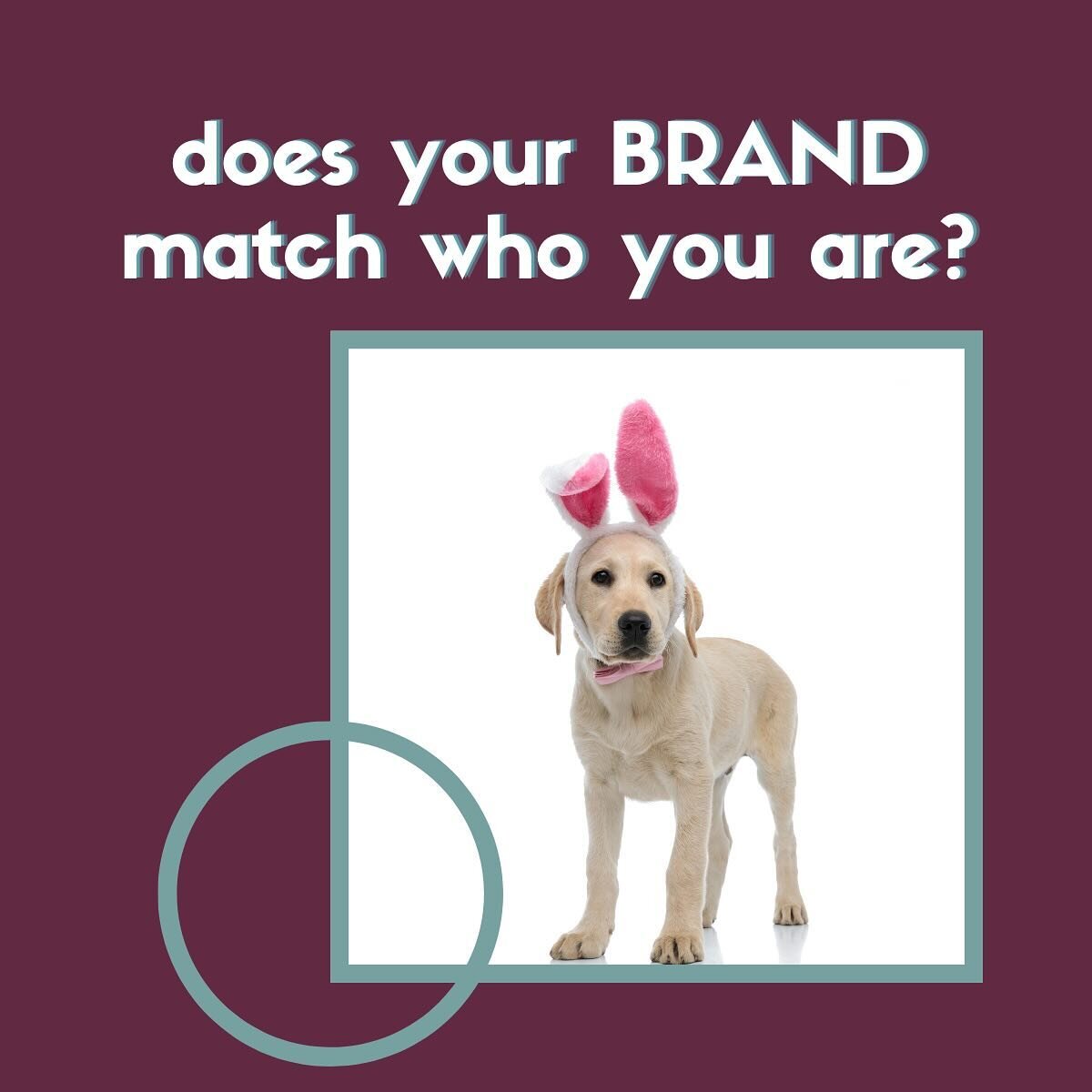 You may have come up with some colors or content that you thought matched your brand, but have you evolved? It might be time for a brand evolution too. When I work with people on their brands, we often discover there was a look they liked for their b