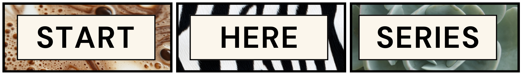 A graphic with three sections labeled "START" in a beer foam background, "HERE" with a zebra pattern background, and "SERIES" with a succulent plant background.