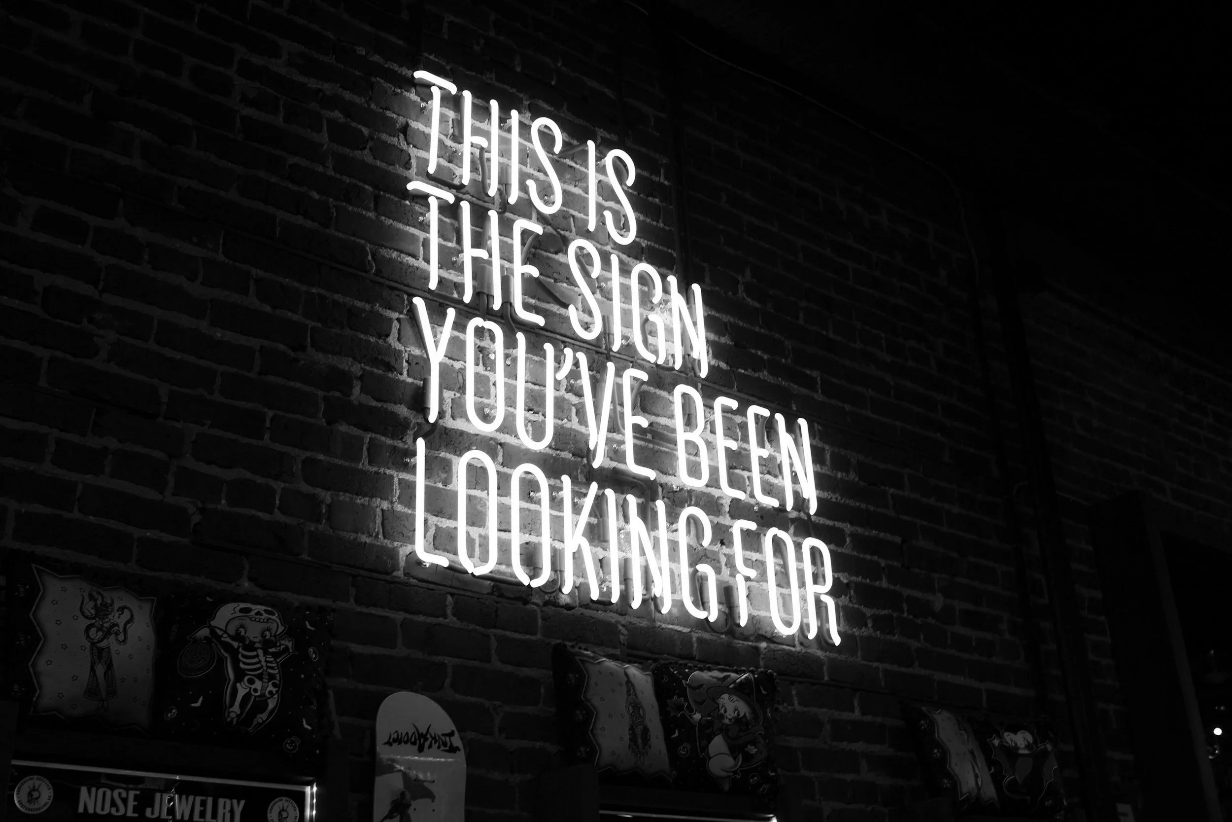 Neon sign on brick wall with the text "This is the sign you've been looking for" in white light.