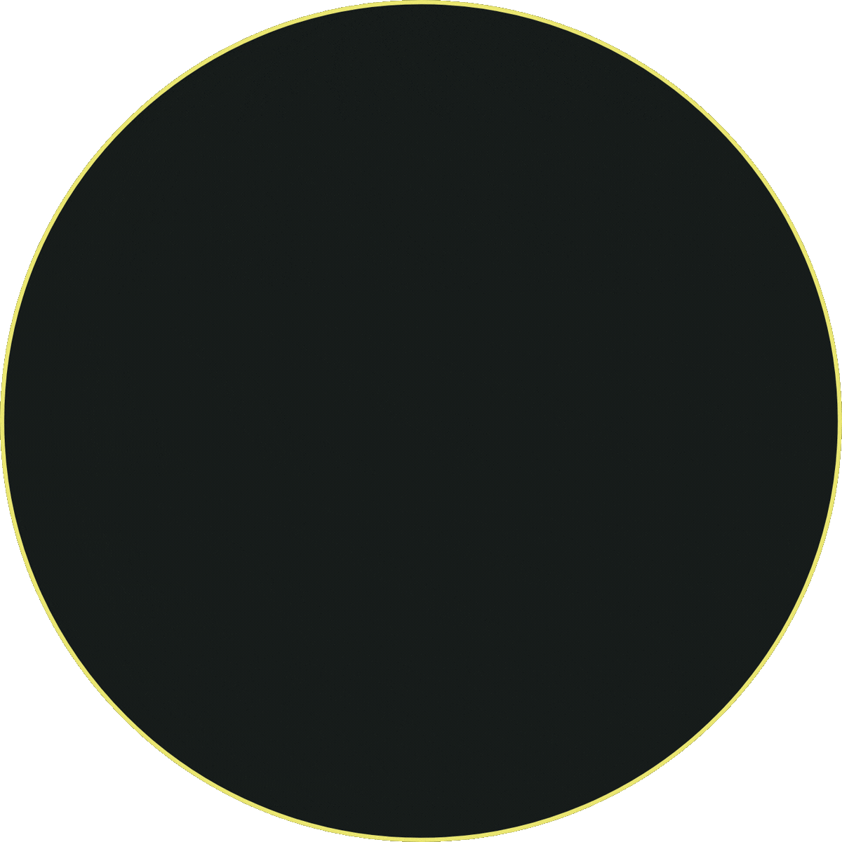 A black background with a large yellow circle outline and a smaller yellow circle outline inside.