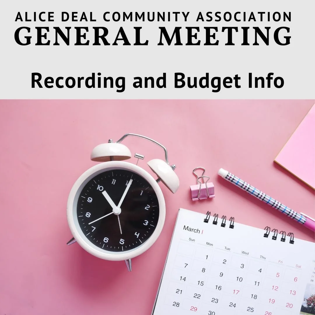 ADCA General Meeting Budget Recap