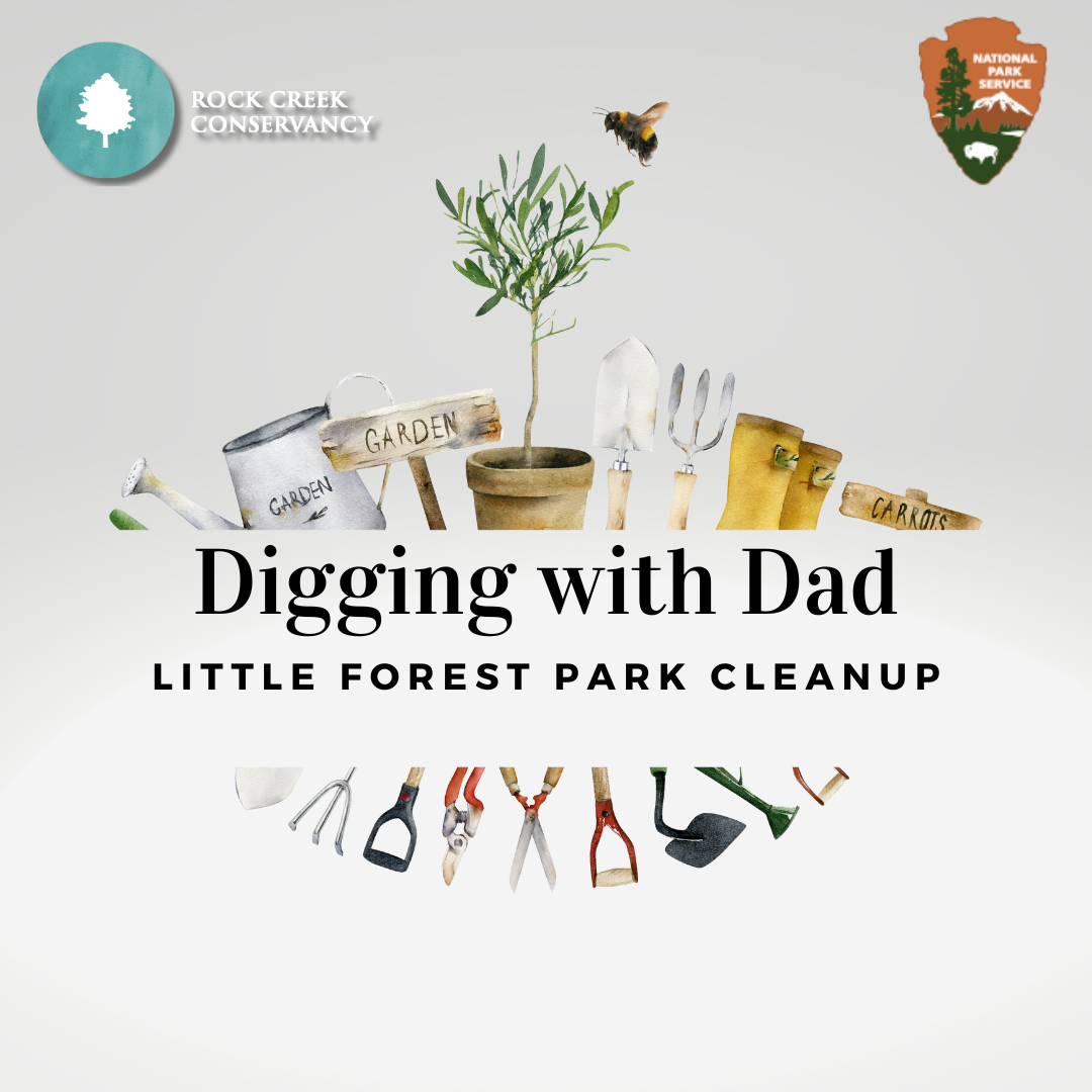Community Service: Weed Warriors @Little Forest
