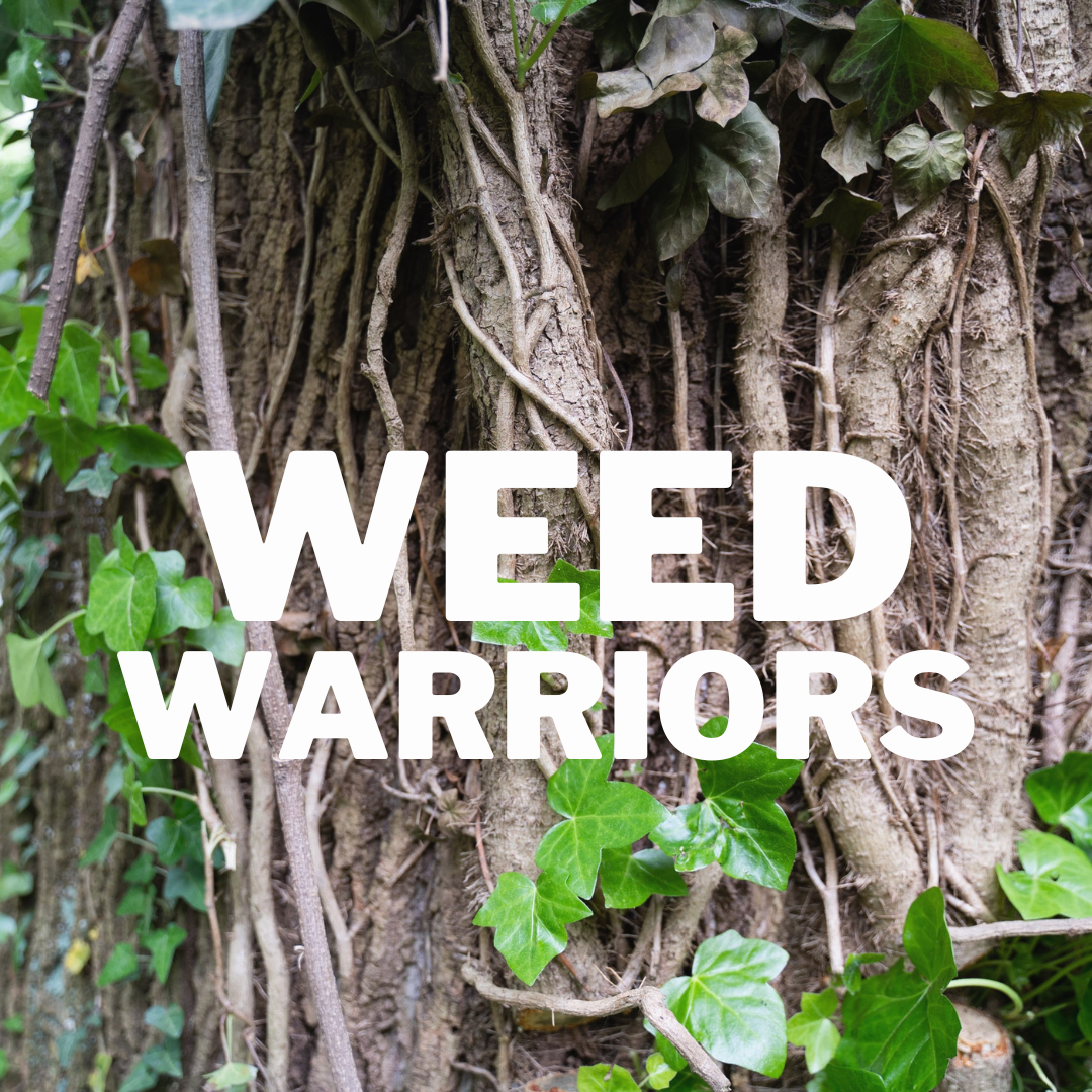 Weed Warriors!