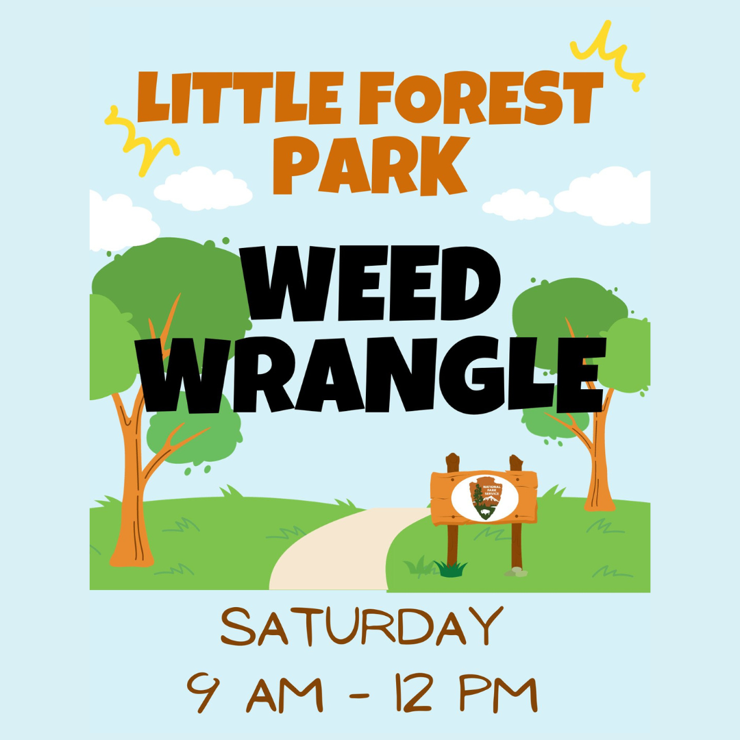 Weed Warrior - Service Opportunity! 
