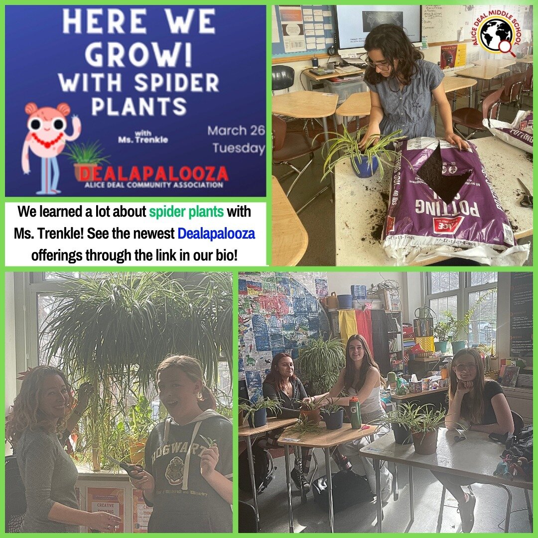 We learned a lot about spider plants with Ms. Trenkle at our most recent Dealapalooza event! See the newest Dealapalooza offerings through the link in our bio. #admsherewegrow