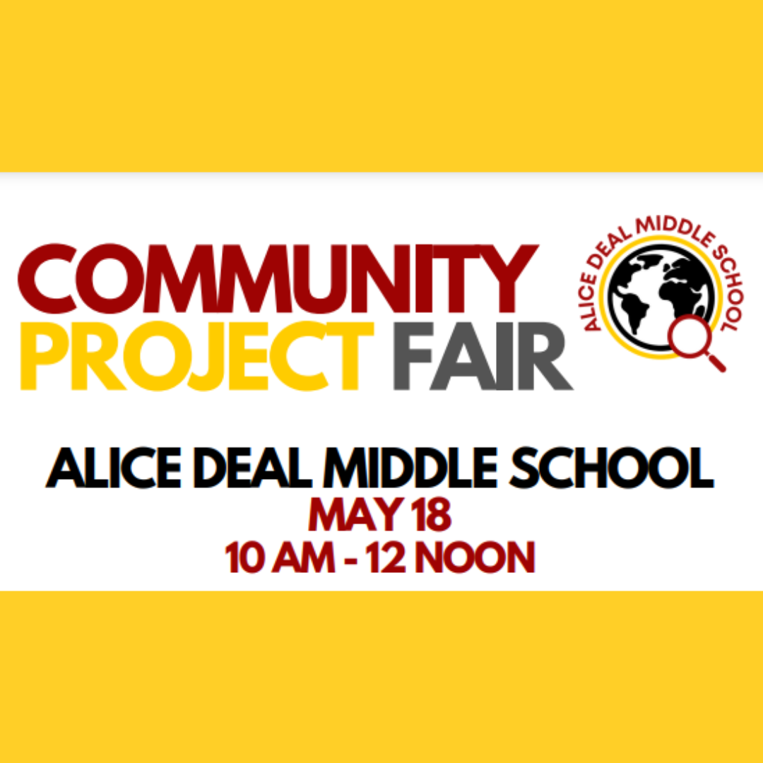 Community Project Fair