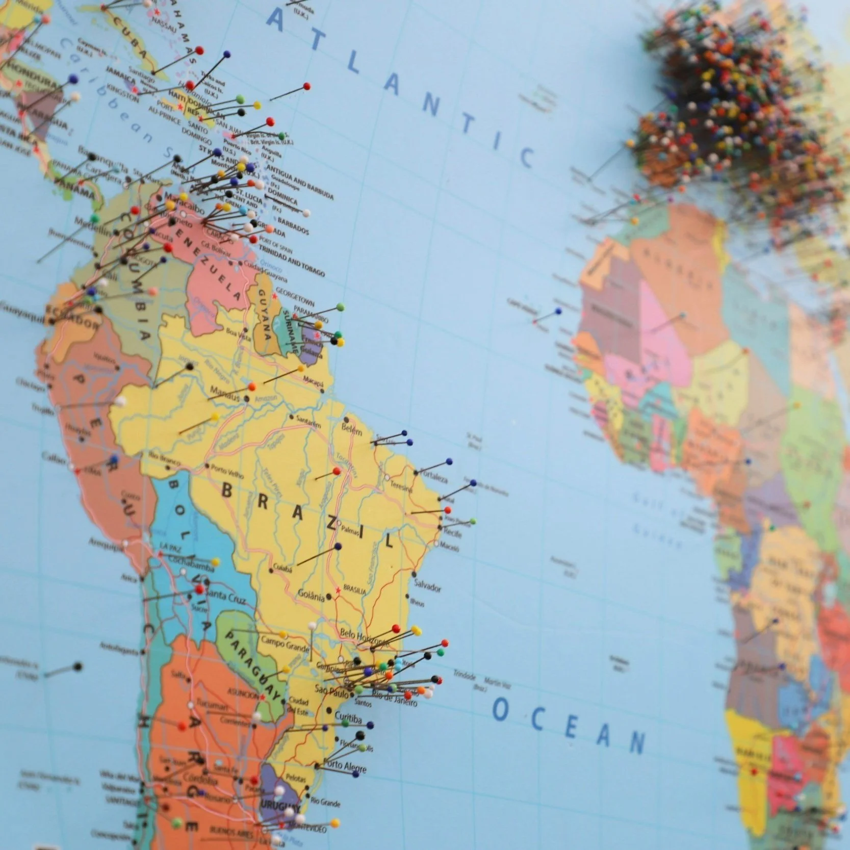 World Language&nbsp;Newsletters