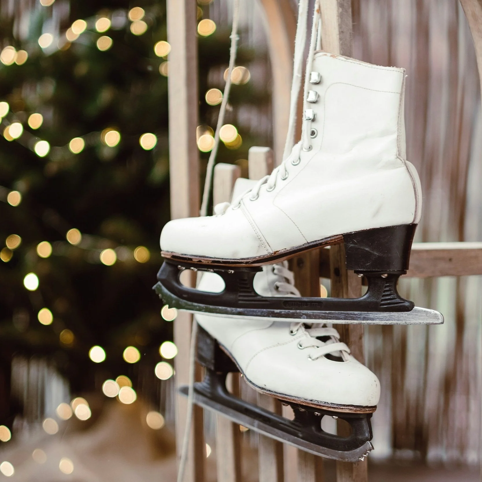 Winter Theatre, Ice Skating, International Night