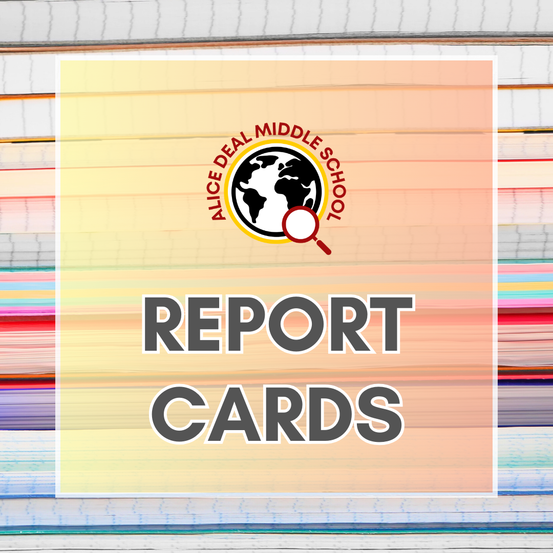 Term 2 Report Cards Available