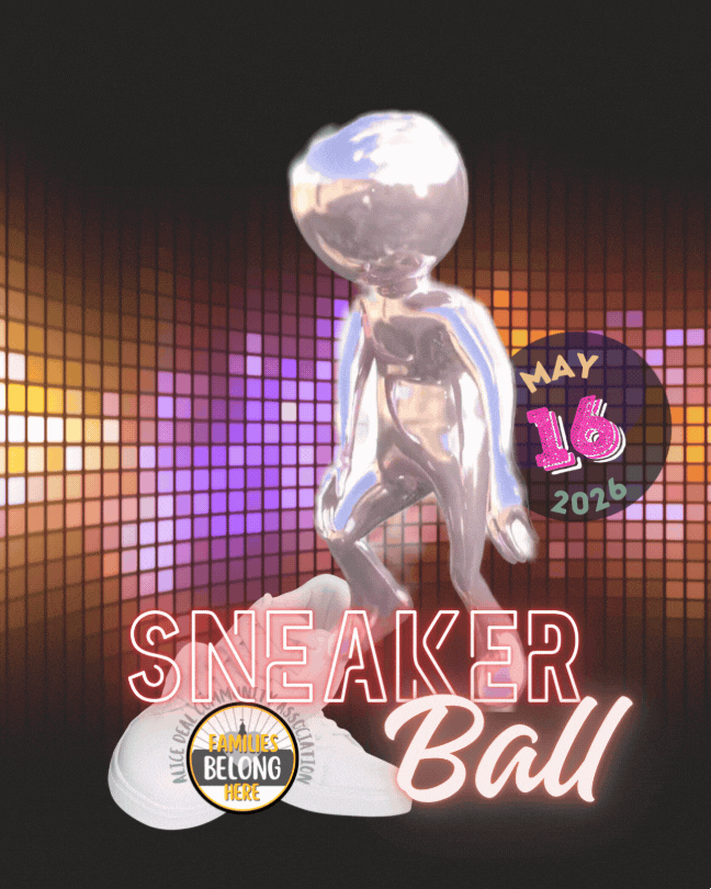 Auction is Open