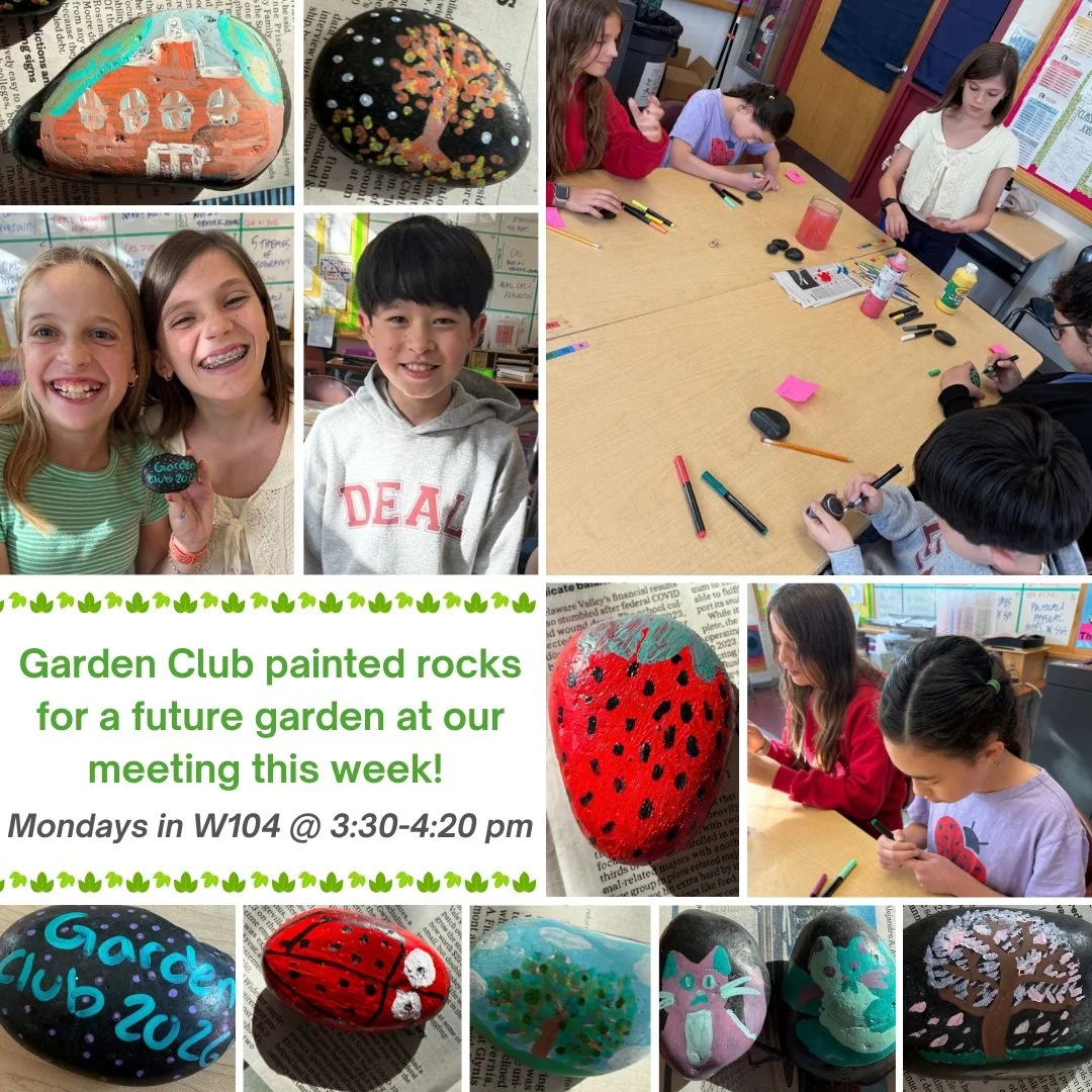 Garden Club painted rocks for a future garden this week! All are invited to join the club on Mondays after school in W104. #admsherewegrow