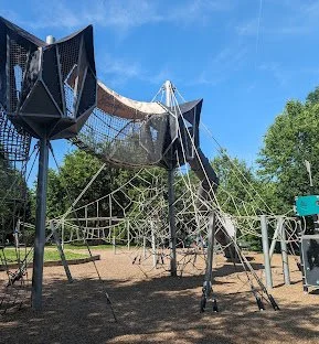 Volunteer Opportunity - Fall Clean-up of Lafayette-Pointer Park