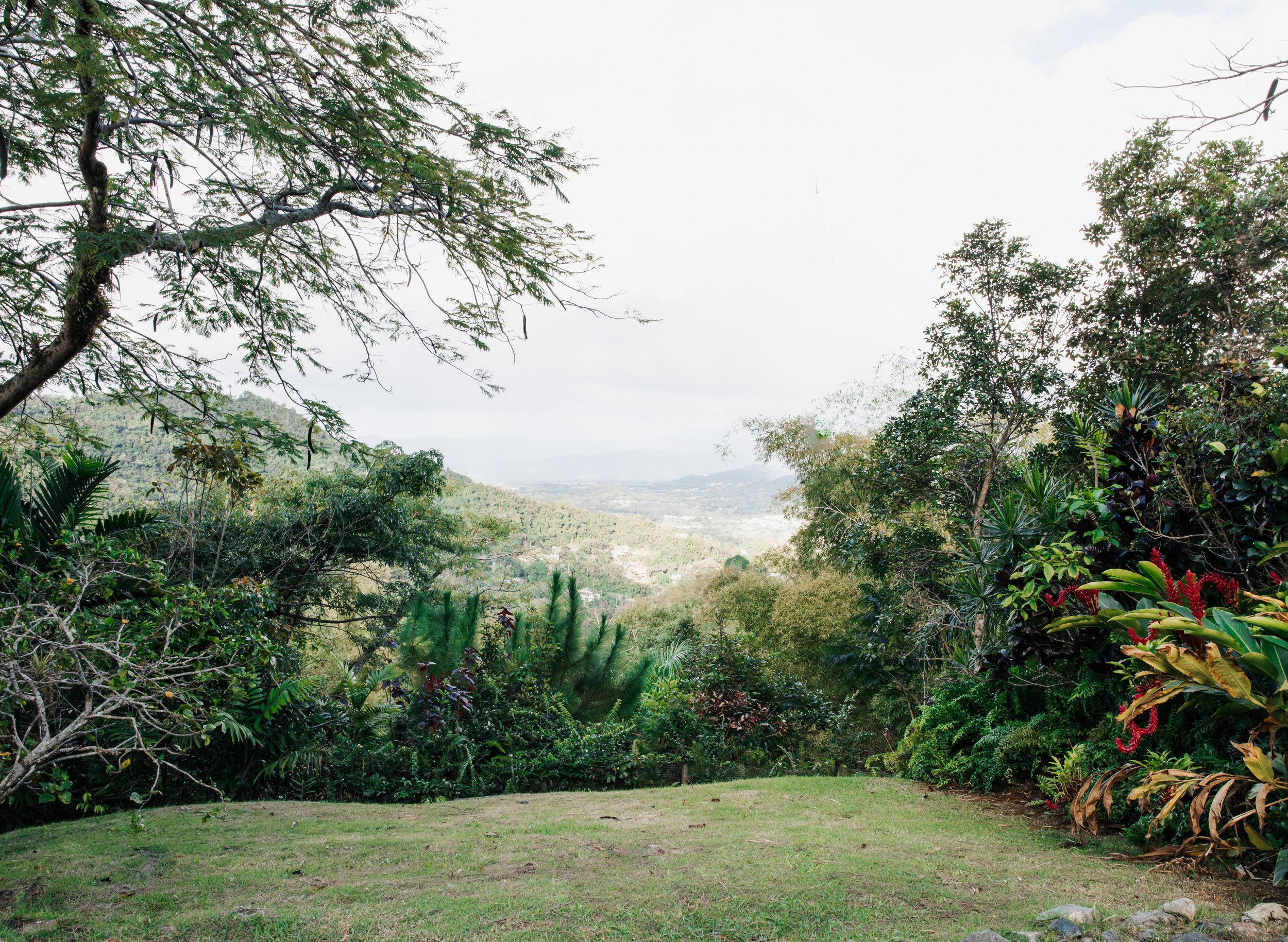 Impactivo-Retreat-274.jpg