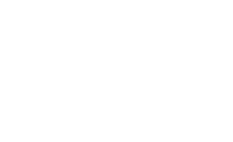 Nakamura International Limousine, L.L.C.