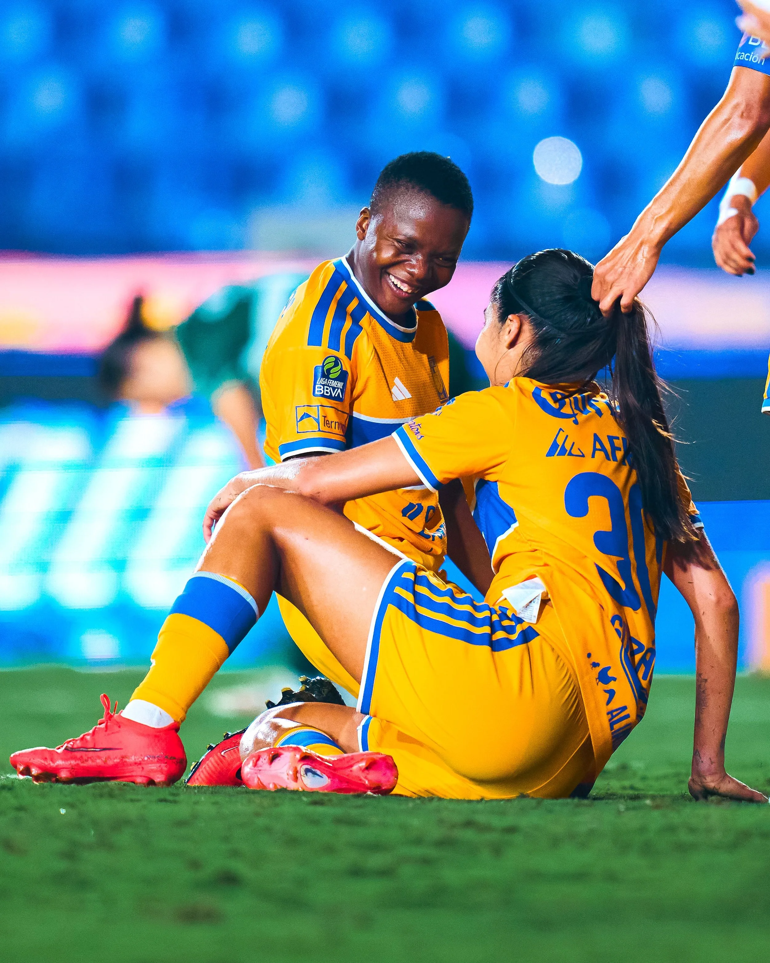 Jornada 6: Estrenos y regresos