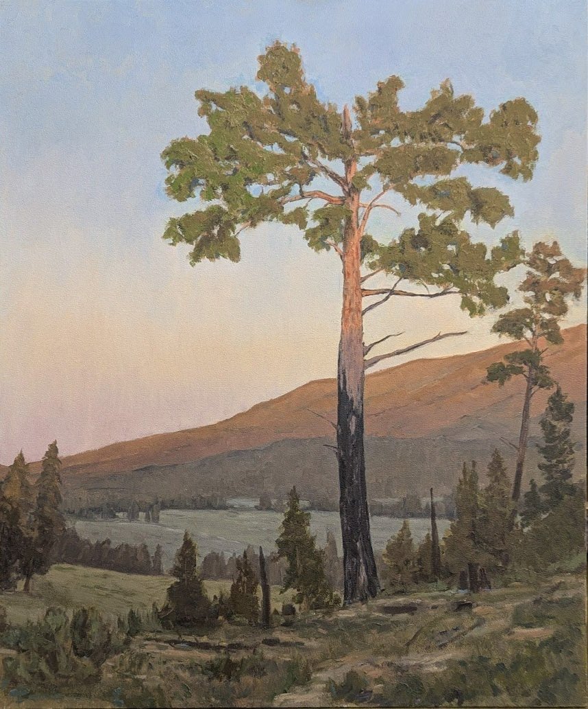 The Witness, 2025, 24x20, Oil, $1850.00