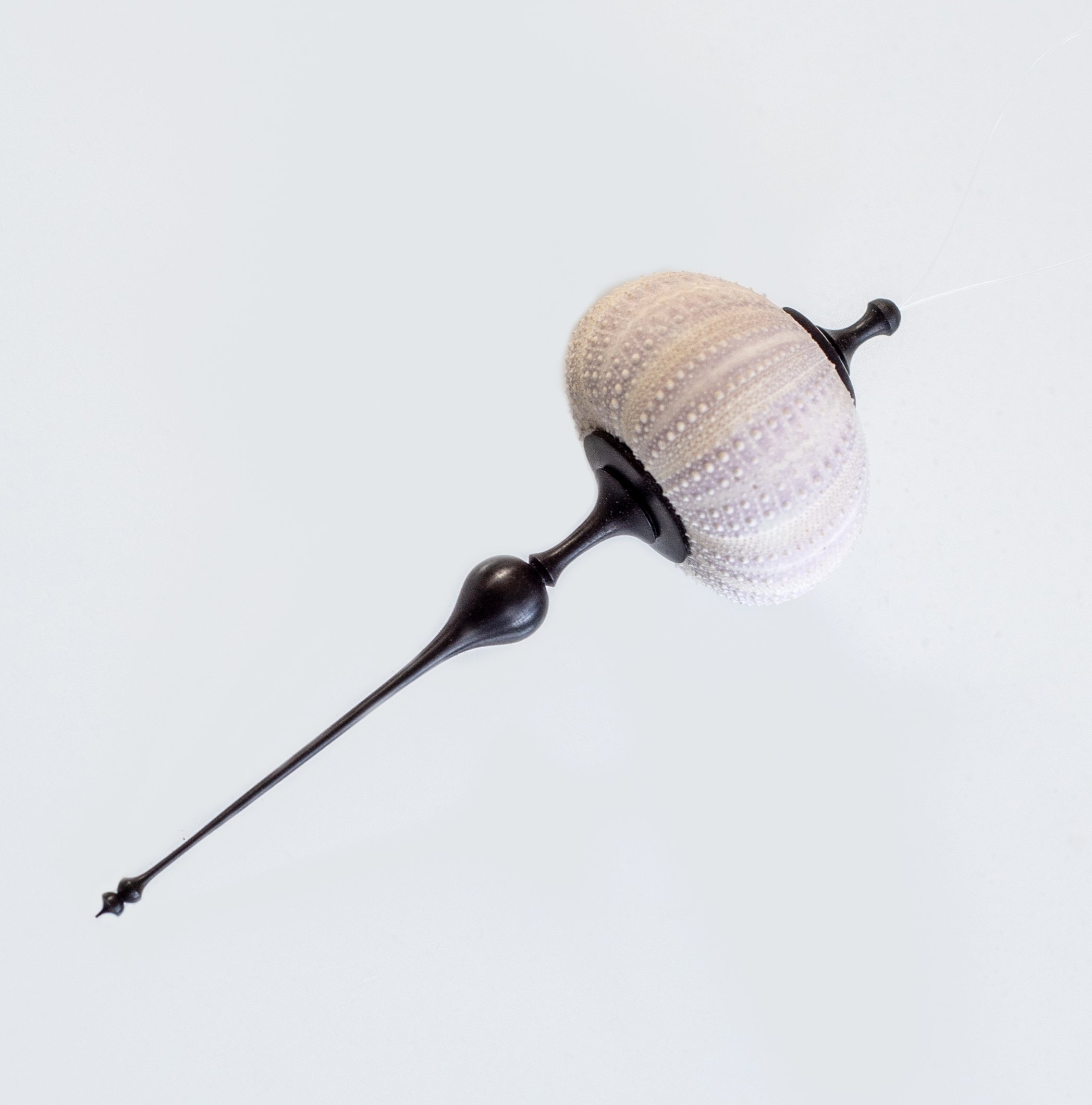 Medium Sea Urchin Ornament