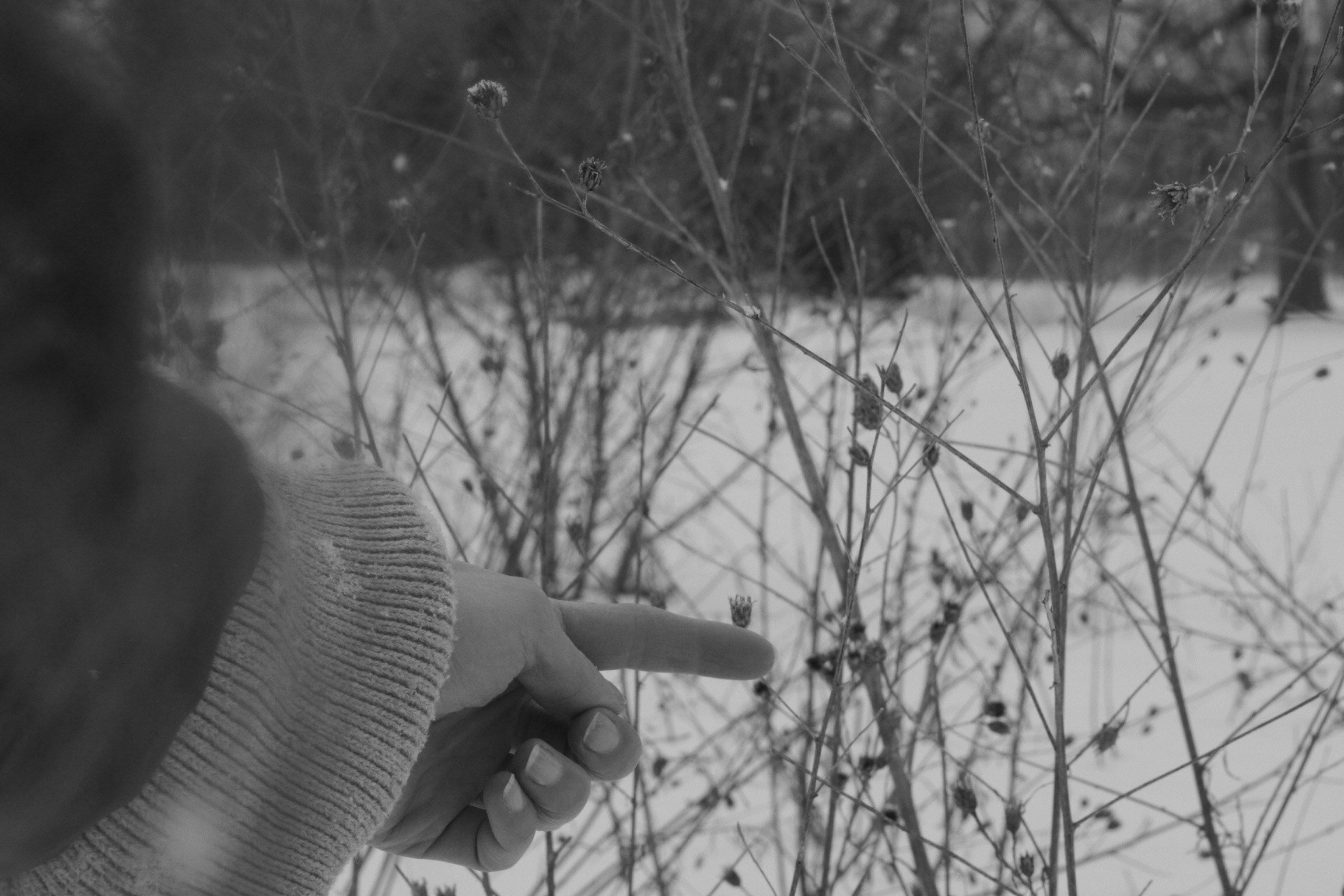 image_6483441 (4).JPG