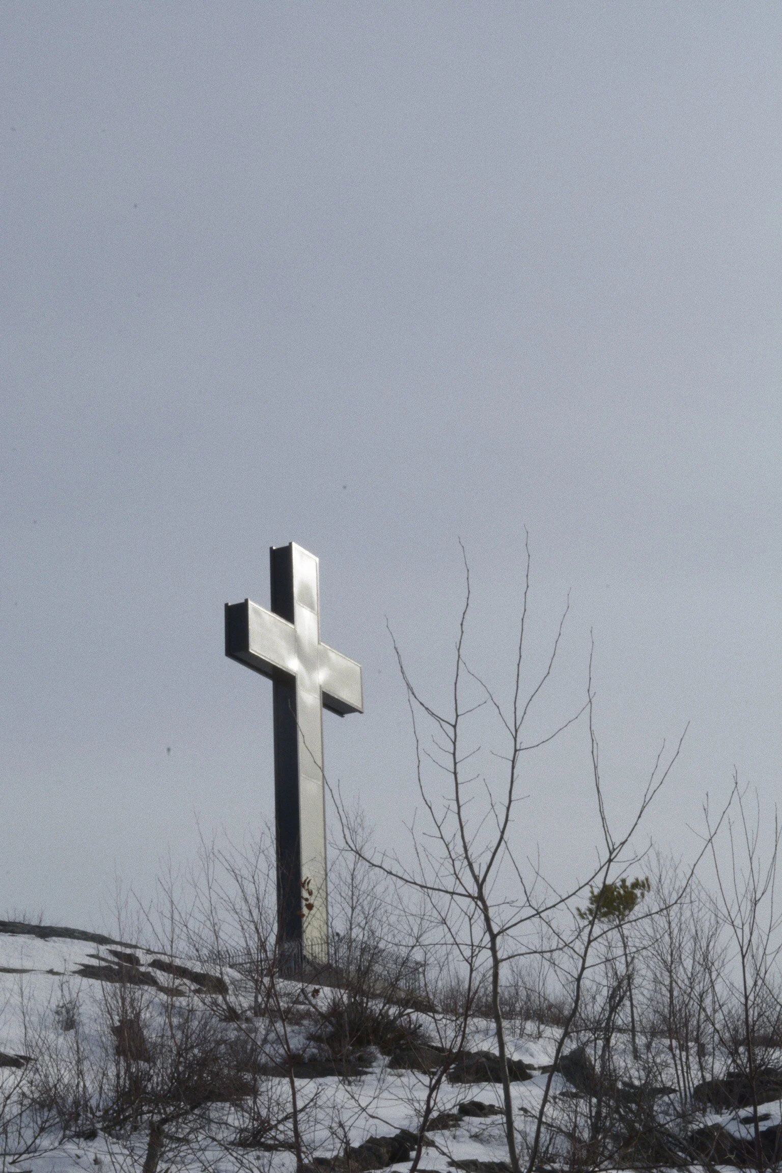 image_6483441 (3).JPG