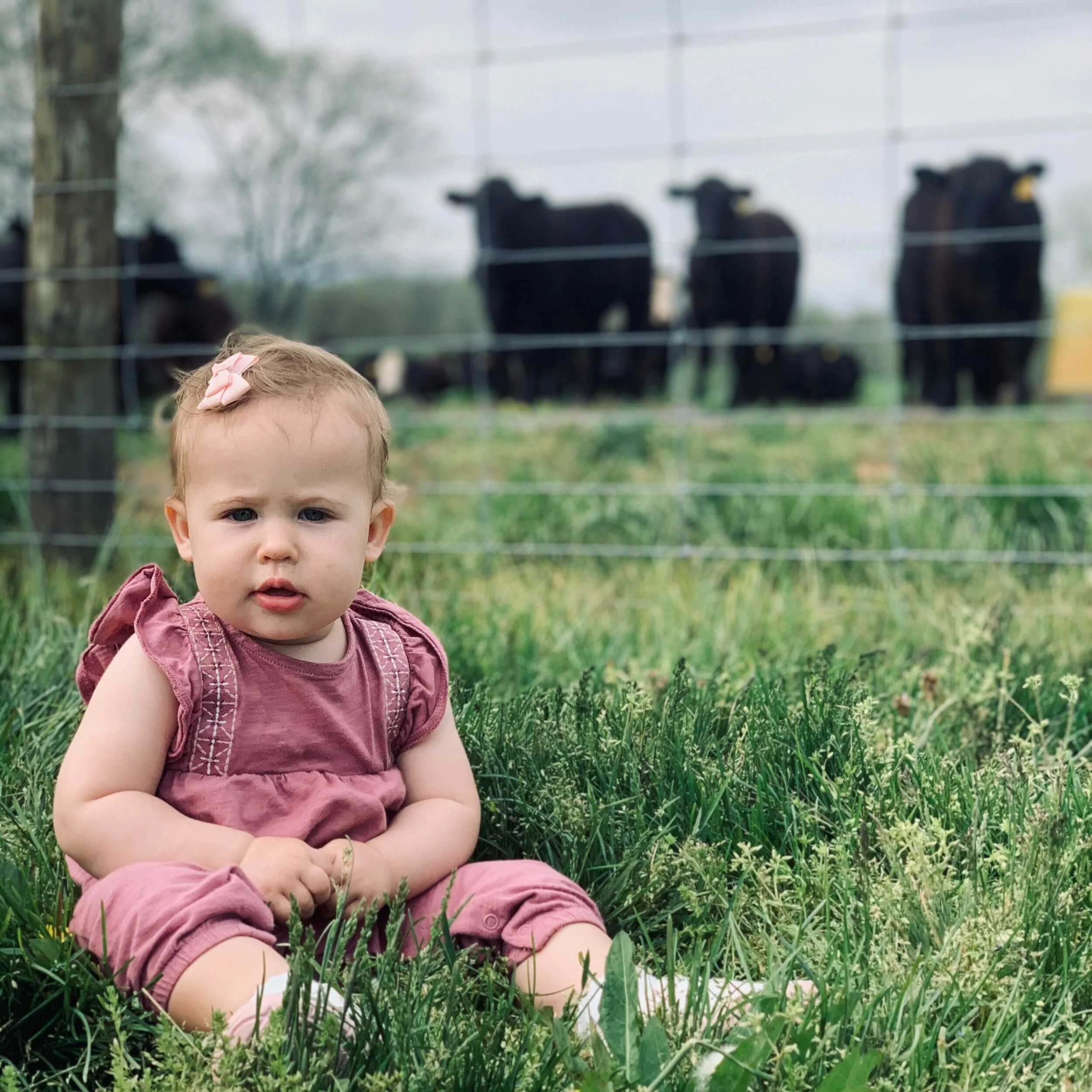 Amanda - 4C25BD62-CAC8-4AB5-8D5C-B728EBA93B58.jpeg