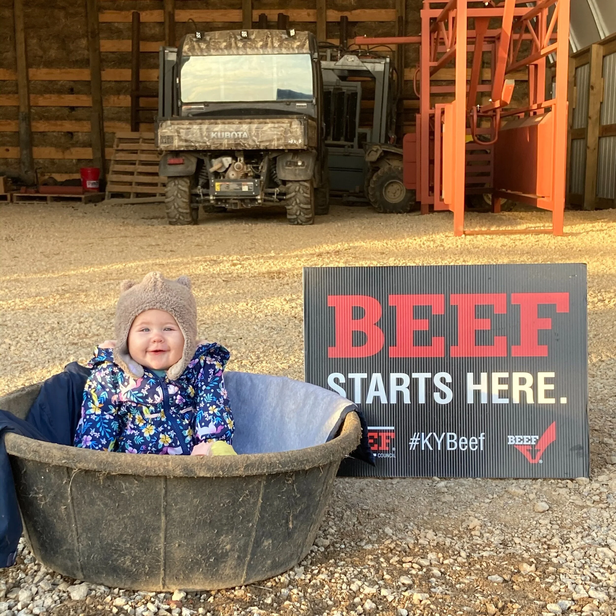 Amanda - 5429C6AE-DA78-4698-AFE2-A2DC57F6264E.jpeg