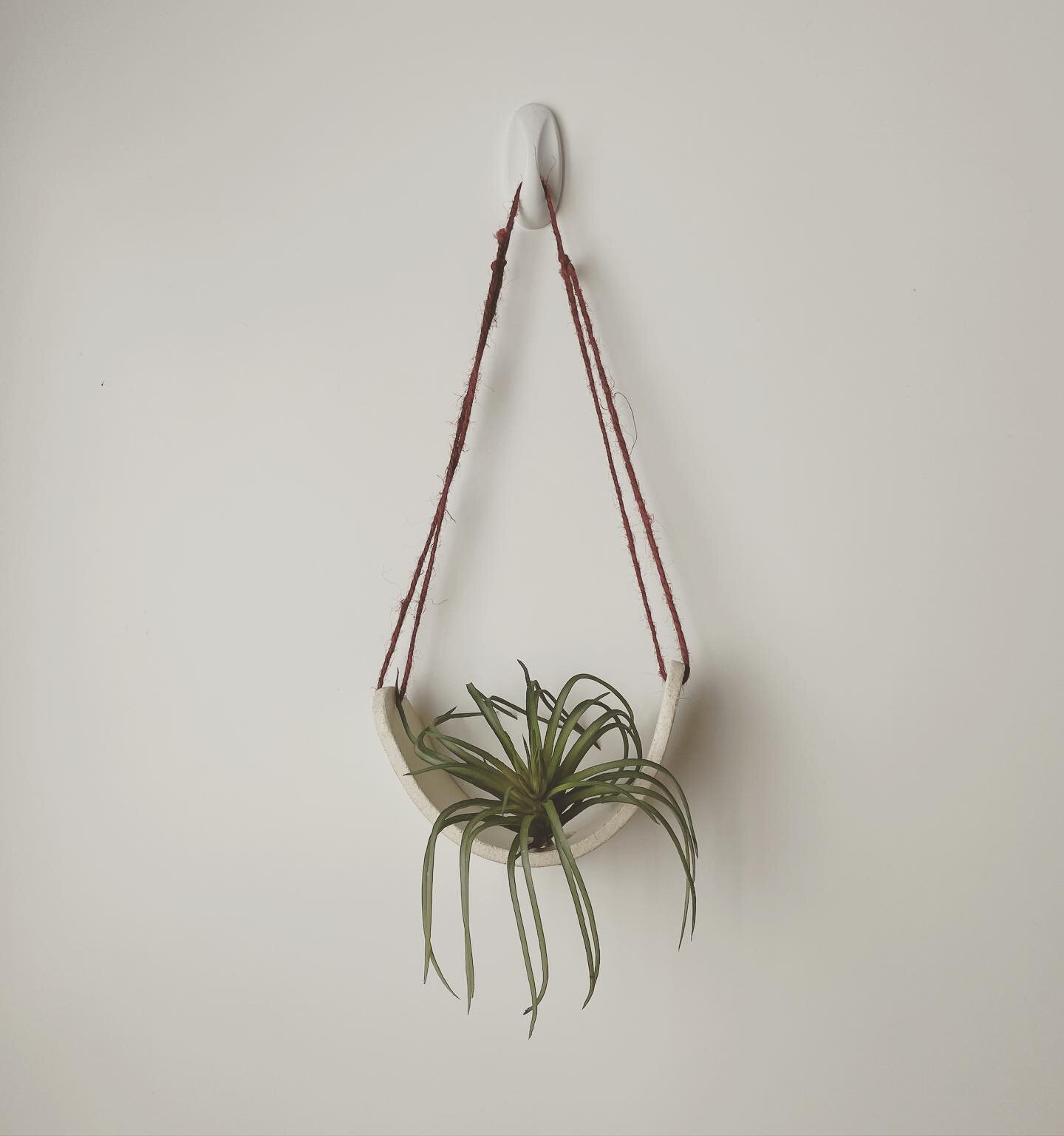 Adjustable height airplant holder.  #airplant #wallhanger