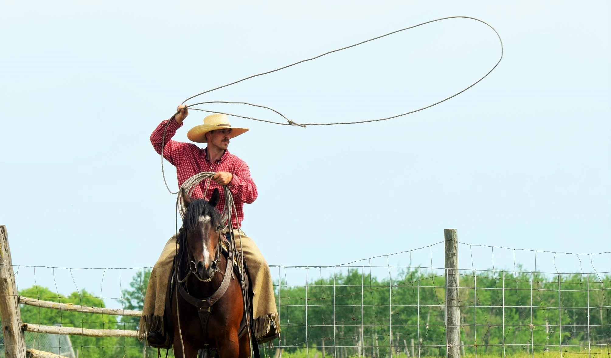FIRST IMPRESSIONS — 2J Ranch Horses