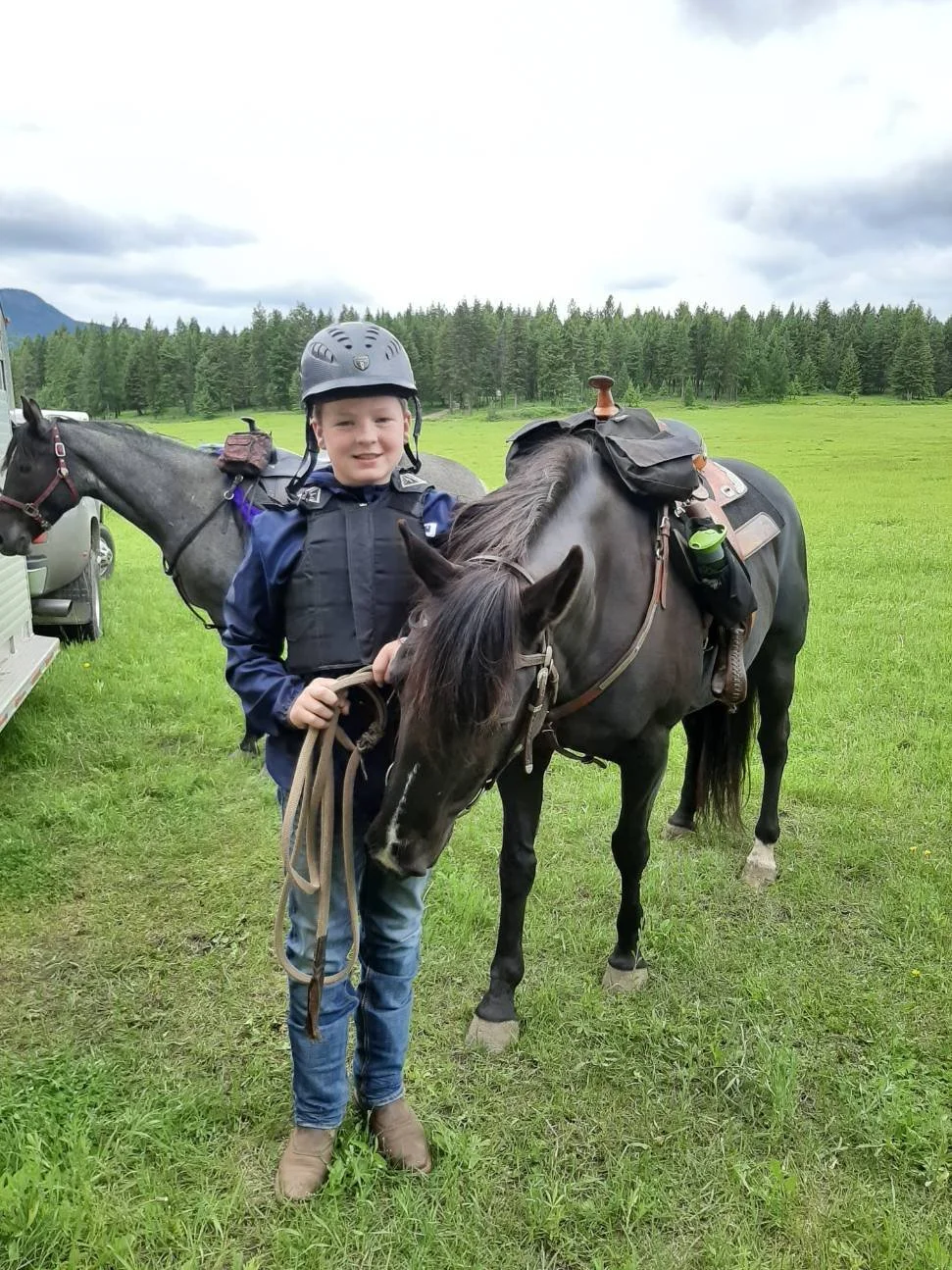 2J Ranch Horses