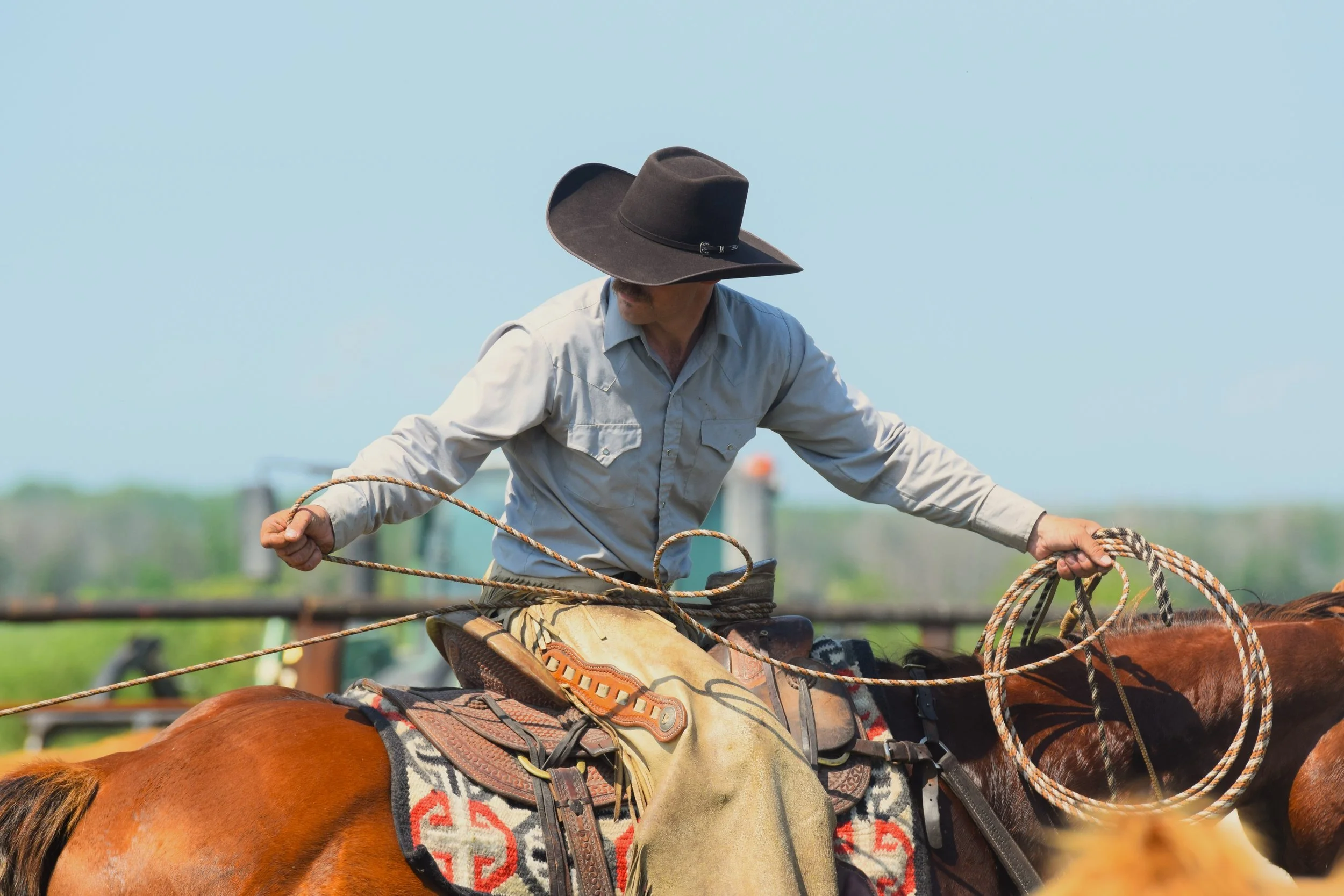 2J Ranch Horses, Ranch raised, all around horses for sale