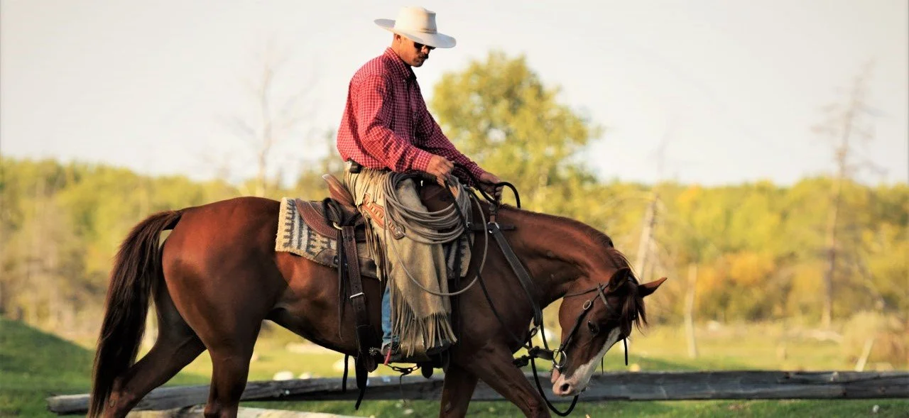 FIRST IMPRESSIONS — 2J Ranch Horses